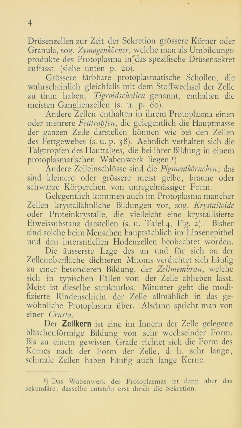 Drüsenzellen zur Zeit der Sekretion grössere Körner oder Granula, sog. Zy mogenkör ner, welche man als Umbildungs- produkte des Protoplasma in das spezifische Drüsensekret aulfasst (siehe unten p. 20). Grössere färbbare protoplasmatische Schollen, die wahrscheinlich gleichfalls mit dem Stoffwechsel der Zelle zu thun haben, Tigroidschollen genannt, enthalten die meisten Ganglienzellen (s. u. p. 60). Andere Zellen enthalten in ihrem Protoplasma einen oder mehrere Fetttropfen, die gelegentlich die Hauptmasse der ganzen Zelle darstellen können wie bei den Zellen des Fettgewebes (s. u. p. 38). Aehnlich verhalten sich die Talgtropfen des Hauttalges, die bei ihrer Bildung in einem protoplasmatischen Waben werk liegen.1) Andere Zelleinschlüsse sind die Pigmentkörnchen; das sind kleinere oder grössere meist gelbe, braune oder schwarze Körperchen von unregelmässiger Form. Gelegentlich kommen auch im Protoplasma mancher Zellen krystallähnliehe Bildungen vor, sog. Krystalloide oder Proteinkrystalle, die vielleicht eine krystallisierte Eiweissubstanz darstellen (s. u. Tafel 4, Fig. 2). Bisher sind solche beim Menschen hauptsächlich im Linsenepithel und den interstitiellen Hodenzellen beobachtet worden. Die äusserste Lage des an und für sich an der Zellenoberfläche dichteren Mitoms verdichtet sich häufig zu einer besonderen Bildung, der Zellmembran, welche sich in typischen Fällen von der Zelle abheben lässt. Meist ist dieselbe strukturlos. Mitunter geht die modi- fizierte Rindenschicht der Zelle allmählich in das ge- wöhnliche Protoplasma über. Alsdann spricht man von einer Crusta. Der Zellkern ist eine im Innern der Zelle gelegene bläschenförmige Bildung von sehr wechselnder Form. Bis zu einem gewissen Grade richtet sich die Form des Kernes nach der Form der Zeile, d. h. sehr lange, schmale Zellen haben häufig auch lange Kerne. *) Das Wabenwerk des Protoplasmas ist dann aber das sekundäre; dasselbe entsteht erst durch die Sekretion.