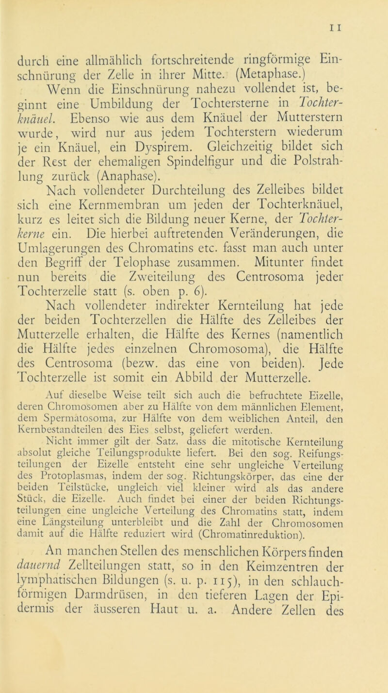 durch eine allmählich fortschreitende ringförmige Ein- schnürung der Zelle in ihrer Mitte. (Metaphase.) Wenn die Einschnürung nahezu vollendet ist, be- ginnt eine Umbildung der Tochtersterne in Tochter- knäuel. Ebenso wie aus dem Knäuel der Mutterstern wurde, wird nur aus jedem Tochterstern wiederum je ein Knäuel, ein Dyspirem. Gleichzeitig bildet sich der Rest der ehemaligen Spindelfigur und die Polstrah- lung zurück (Anaphase). Nach vollendeter Durchteilung des Zelleibes bildet sich eine Kernmembran um jeden der Tochterknäuel, kurz es leitet sich die Bildung neuer Kerne, der Tochter- kerne ein. Die hierbei auftretenden Veränderungen, die Umlagerungen des Chromatins etc. fasst man auch unter den Begriff der Telophase zusammen. Mitunter findet nun bereits die Zweiteilung des Centrosoma jeder Tochterzelle statt (s. oben p. 6). Nach vollendeter indirekter Kernteilung hat jede der beiden Tochterzellen die Hälfte des Zelleibes der Mutterzelle erhalten, die Hälfte des Kernes (namentlich die Hälfte jedes einzelnen Chromosoma), die Hälfte des Centrosoma (bezw. das eine von beiden). Jede Tochterzelle ist somit ein Abbild der Mutterzelle. Auf dieselbe Weise teilt sich auch die befruchtete Eizelle, deren Chromosomen aber zu Hälfte von dem männlichen Element, dem Spermatosoma, zur Hälfte von dem weiblichen Anteil, den Kernbestandteilen des Eies selbst, geliefert werden. Nicht immer gilt der Satz, dass die mitotische Kernteilung- absolut gleiche Teilungsprodukte liefert. Bei den sog. Reifungs- teilungen der Eizelle entsteht eine sehr ungleiche Verteilung des Protoplasmas, indem der sog. Richtungskörper, das eine der beiden Teilstücke, ungleich viel kleiner wird als das andere Stück, die Eizelle. Auch findet bei einer der beiden Richtungs- teilungen eine ungleiche Verteilung des Chromatins statt, indem eine Längsteilung unterbleibt und die Zahl der Chromosomen damit auf die Hälfte reduziert wird (Chromatinreduktion). An manchen Stellen des menschlichen Körpers finden dauernd Zellteilungen statt, so in den Keimzentren der lymphatischen Bildungen (s. u. p. 115), in den schlauch- förmigen Darmdrüsen, in den tieferen Lagen der Epi- dermis der äusseren Haut u. a. Andere Zellen des