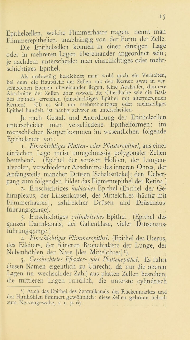 iS Epithelzellen, welche Flimmerhaare tragen, nennt man Flimmerepithelien, unabhängig von der Form der Zelle. Die Epithelzellen können in einer einzigen Lage oder in mehreren Lagen übereinander angeordnet sein; je nachdem unterscheidet man einschichtiges oder mehr- schichtiges Epithel. Als mehrzeilig bezeichnet man wohl auch ein Verhalten, bei dem die Hauptteile der Zellen mit den Kernen zwar in ver- schiedenen Ebenen übereinander liegen, feine Ausläufer, dünnere Abschnitte der Zellen aber sowohl die Oberfläche wie die Basis des Epithels erreichen (einschichtiges Epithel mit alternierenden Kernen). Ob es sich um mehrschichtiges oder mehrzeiliges Epithel handelt, ist häufig schwer zu unterscheiden. Je nach Gestalt und Anordnung der Epithelzellen unterscheidet man verschiedene Epithelformen: im menschlichen Körper kommen im wesentlichen folgende Epithelarten vor: 1. Einschichtiges Platten - oder Pflasterepithel, aus einer einfachen Lage meist unregelmässig polygonaler Zellen bestehend. (Epithel der serösen Höhlen, der Lungen- alveolen, verschiedener Abschnitte des inneren Ohres, der Anfangsteile mancher Drüsen [Schaltstücke]; den Ueber- gang zum folgenden bildet das Pigmentepithel der Retina.) 2. Einschichtiges kubisches Epithel (Epithel der Ge- hirnplexus, der Linsenkapsel, des Mittelohres [häufig mit Flimmerhaaren], zahlreicher Drüsen und Drüsenaus- führungsgänge). 3. Einschichtiges cylindrisches Epithel. (Epithel des ganzen Darmkanals, der Gallenblase, vieler Drüsenaus- führungsgänge.) 4. Einschichtiges Flimmerepithel. (Epithel des Uterus, des Eileiters, der feineren Bronchialäste der Lunge, der Nebenhöhlen der Nase [des Mittelohres]*). 5. Geschichtetes Pflaster- oder Plattenepithel. Es führt diesen Namen eigentlich zu Unrecht, da nur die oberen Lagen (in wechselnder Zahl) aus platten Zellen bestehen, die mittleren Lagen rundlich, die unterste cylindrisch *) Auch das Epithel des Zentralkanals des Rückenmarkes und der Hirnhöhlen flimmert gewöhnlich; diese Zellen gehören jedoch zum Nervengewebe, s. u p. 67.