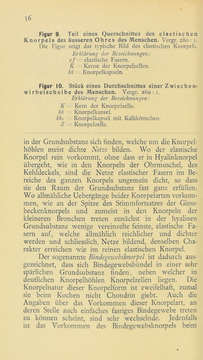 •> 6 Figur 9. Teil eines Querschnittes des elastischen Knorpels des äusseren Ohres des Menschen. Vergr. 280: 1. Die Figur zeigt das typische Bild des elastischen Knorpels. Erklärung der Bezeichnungen: ef —: elastische Fasern. K - Kerne der Knorpelzellen. kk Knorpelkapseln. Figur 10. Stückeines Durchschnittes einer Zwischen- wirbelscheibe des Menschen. Vergr. 260:1. Erklärung der Bezeichnungen : K — Kern der Knorpelzelle. kk Knorpelkapsel. kki Knorpelkapsel mit Kalkkörnchen. Z Knorpelzelle. in der Grundsubstanz sich finden, welche um die Knorpel- höhlen meist dichte Netze bilden. Wo der elastische Knorpel rein vorkommt, ohne dass er in Hyalinknorpel übergeht, wie in den Knorpeln der Ohrmuschel, des Kehldeckels, sind die Netze elastischer Fasern im Be- reiche des ganzen Knorpels ungemein dicht, so dass sie den Raum der Grundsubstanz fast ganz erfüllen. Wo allmähliche Uebergänge beider Knorpelarten Vorkom- men, wie an der Spitze des Stimmfortsatzes der Giess- beckenknorpels und zumeist in den Knorpeln der kleineren Bronchen treten zunächst in der hyalinen Grundsubstanz wenige vereinzelte feinste, elastische Fa- sern auf, welche allmählich reichlicher und dichter werden und schliesslich, Netze bildend, denselben Cha- rakter erreichen wie im reinen elastischen Knorpel. Der sogenannte Bindegewebsknorpel ist dadurch aus- gezeichnet, ciass sich Bindegewebsbündel in einer sehr spärlichen Grundsubstanz finden., neben welcher in deutlichen Knorpelhöhlen Knorpelzellen liegen. Die Knorpelnatur dieser Knorpelform ist zweifelhaft, zumal sie beim Kochen nicht Chondrin giebt. Auch die Angaben über das Vorkommen dieser Knorpelart, an deren Stelle auch einfaches fasriges Bindegewebe treten zu können scheint, sind sehr wechselnde. Jedenfalls ist das Vorkommen des Bindegewebsknorpels beim