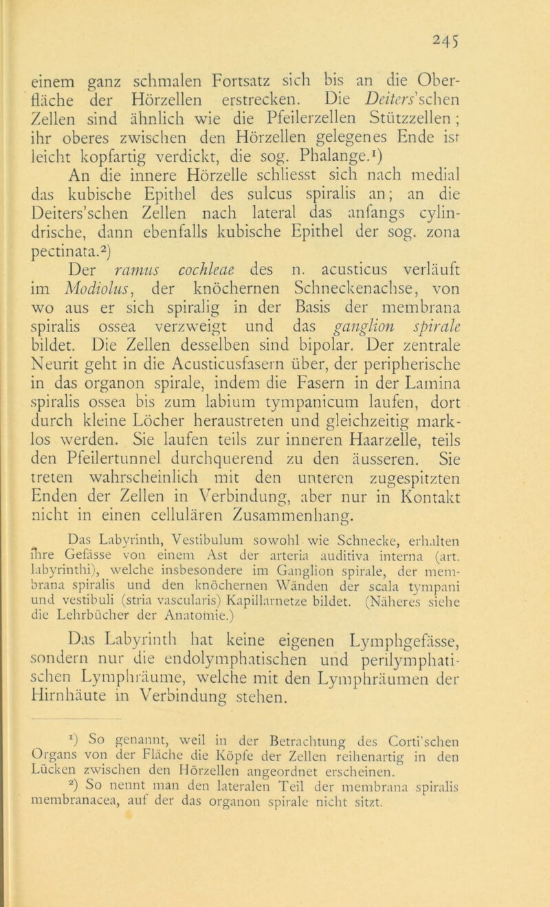einem ganz schmalen Fortsatz sich bis an die Ober- fläche der Hörzellen erstrecken. Die Deiters'sehen Zellen sind ähnlich wie die Pfeilerzellen Stützzellen; ihr oberes zwischen den Hörzellen gelegenes Ende isr leicht kopfartig verdickt, die sog. Phalange.1) An die innere Hörzelle schliesst sich nach medial das kubische Epithel des sulcus spiralis an; an die Deiters’schen Zellen nach lateral das anfangs cylin- drische, dann ebenfalls kubische Epithel der sog. zona pectinata.2) Der ramus cochleae des n. acusticus verläuft im Modiolus, der knöchernen Schneckenachse, von wo aus er sich spiralig in der Basis der membrana spiralis ossea verzweigt und das ganglion spirale bildet. Die Zellen desselben sind bipolar. Der zentrale Neurit geht in die Acusticusfasern über, der peripherische in das organon spirale, indem die Fasern in der Lamina spiralis ossea bis zum labium tympanicum laufen, dort durch kleine Löcher heraustreten und gleichzeitig mark- los werden. Sie laufen teils zur inneren Haarzelle, teils den Pfeilertunnel durchquerend zu den äusseren. Sie treten wahrscheinlich mit den unteren zugespitzten Enden der Zellen in Verbindung, aber nur in Kontakt nicht in einen cellulären Zusammenhang. Das Labyrinth, Vestibulum sowohl wie Schnecke, erhalten ihre Gefasse von einem Ast der arteria auditiva interna (art. labyrinthi), welche insbesondere im Ganglion spirale, der mem- brana spiralis und den knöchernen Wänden der scala tympani und vestibuli (stria vascularis) Kapillarnetze bildet. (Näheres siehe die Lehrbücher der Anatomie.) Das Labyrinth hat keine eigenen Lymphgefässe, sondern nur die endolymphatischen und perilymphati- schen Ly mph räume, welche mit den Lymphräumen der Hirnhäute in Verbindung stehen. x) So genannt, weil in der Betrachtung des Corti’schen Organs von der Fläche die Köpfe der Zellen reihenartig in den Lücken zwischen den Hörzellen angeordnet erscheinen. 2) So nennt man den lateralen Teil der membrana spiralis membranacea, auf der das organon spirale nicht sitzt.