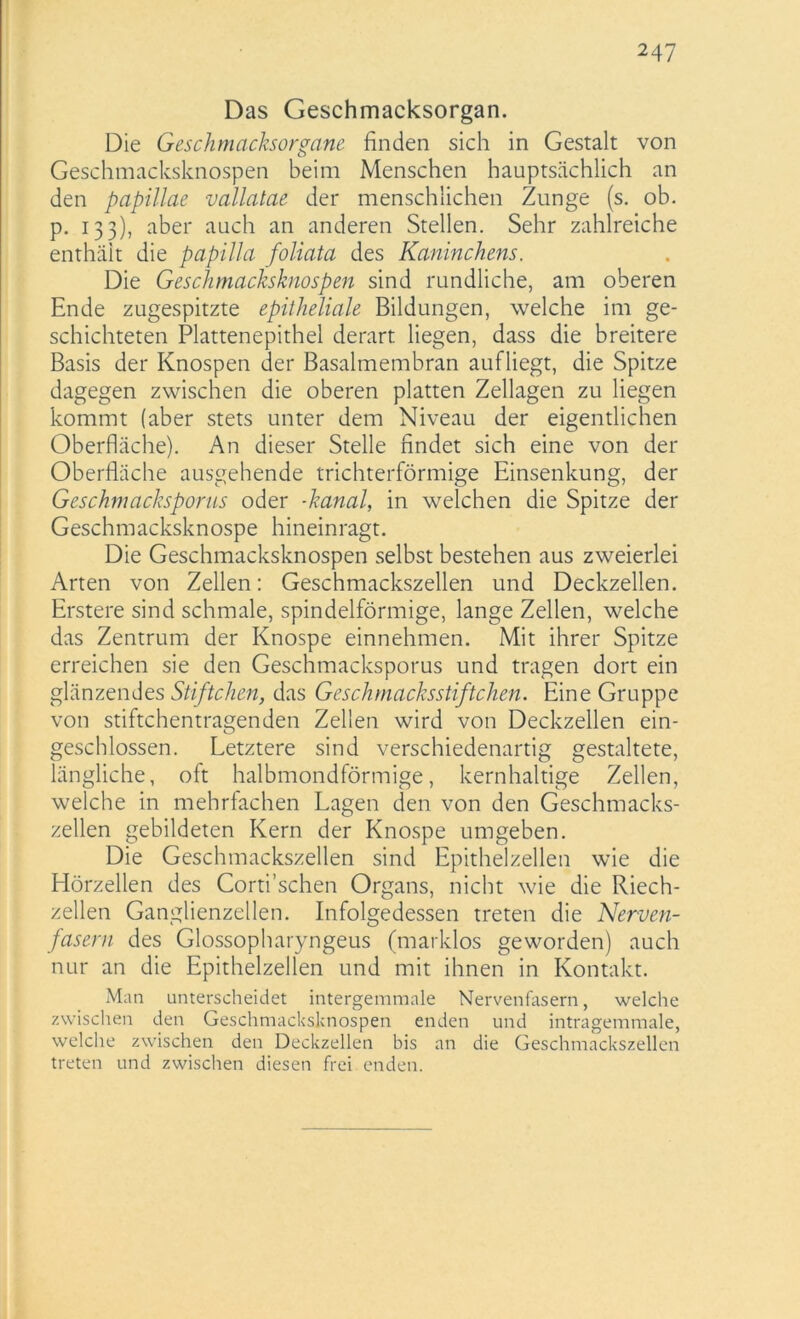 247 Das Geschmacksorgan. Die Geschmacksorgane finden sich in Gestalt von Geschmacksknospen beim Menschen hauptsächlich an den papillae vallatae der menschlichen Zunge (s. ob. p. 133), aber auch an anderen Stellen. Sehr zahlreiche enthält die papilla foliata des Kaninchens. Die Geschmacksknospen sind rundliche, am oberen Ende zugespitzte epitheliale Bildungen, welche im ge- schichteten Plattenepithel derart liegen, dass die breitere Basis der Knospen der Basalmembran aufliegt, die Spitze dagegen zwischen die oberen platten Zellagen zu liegen kommt (aber stets unter dem Niveau der eigentlichen Oberfläche). An dieser Stelle findet sich eine von der Oberfläche ausgehende trichterförmige Einsenkung, der Geschmacksporus oder -kanal, in welchen die Spitze der Geschmacksknospe hineinragt. Die Geschmacksknospen selbst bestehen aus zweierlei Arten von Zellen: Geschmackszellen und Deckzellen. Erstere sind schmale, spindelförmige, lange Zellen, welche das Zentrum der Knospe einnehmen. Mit ihrer Spitze erreichen sie den Geschmacksporus und tragen dort ein glänzendes Stiftchen, das Geschmacksstiftchen. Eine Gruppe von stiftchentragenden Zellen wird von Deckzellen ein- geschlossen. Letztere sind verschiedenartig gestaltete, längliche, oft halbmondförmige, kernhaltige Zellen, welche in mehrfachen Lagen den von den Geschmacks- zellen gebildeten Kern der Knospe umgeben. Die Geschmackszellen sind Epithelzellen wie die Hörzellen des Corti’schen Organs, nicht wie die Riech- zellen Ganglienzellen. Infolgedessen treten die Nerven- fasern des Glossopharyngeus (marklos geworden) auch nur an die Epithelzellen und mit ihnen in Kontakt. Man unterscheidet intergemmale Nervenfasern, welche zwischen den Geschmacksknospen enden und intragemmale, welche zwischen den Deckzellen bis an die Geschmackszellen treten und zwischen diesen frei enden.