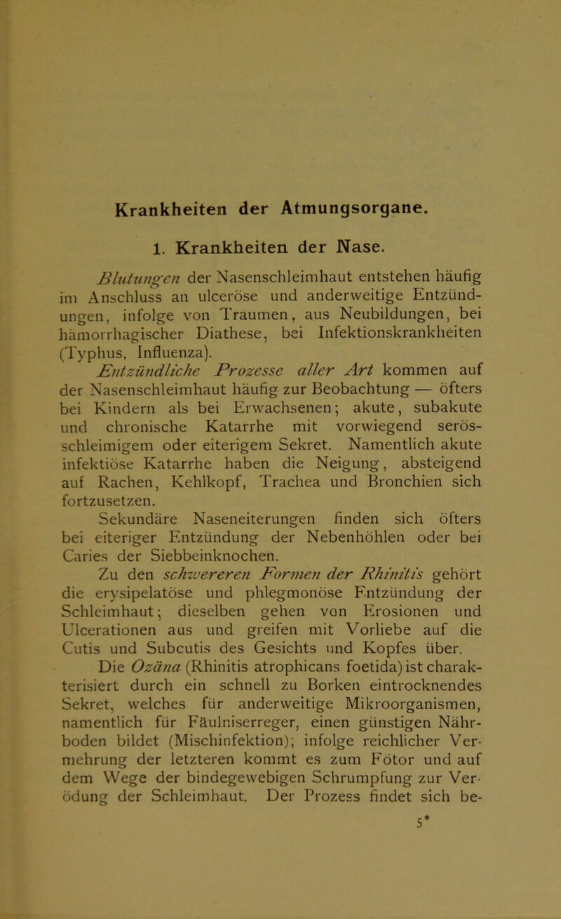 Krankheiten der Atmungsorgane. 1. Krankheiten der Nase. Blutungen der Nasenschleimhaut entstehen häufig im Anschluss an ulceröse und anderweitige Entzünd- ungen, infolge von Traumen, aus Neubildungen, bei hämorrhagischer Diathese, bei Infektionskrankheiten (Typhus, Influenza). Entzündliche Prozesse aller Art kommen auf der Nasenschleimhaut häufig zur Beobachtung — öfters bei Kindern als bei Erwachsenen; akute, subakute und chronische Katarrhe mit vorwiegend serös- schleimigem oder eiterigem Sekret. Namentlich akute infektiöse Katarrhe haben die Neigung, absteigend auf Rachen, Kehlkopf, Trachea und Bronchien sich fortzusetzen. Sekundäre Naseneiterungen finden sich öfters bei eiteriger Entzündung der Nebenhöhlen oder bei Caries der Siebbeinknochen. Zu den schwereren Formen der Rhinitis gehört die erysipelatöse und phlegmonöse Entzündung der Schleimhaut; dieselben gehen von Erosionen und Ulcerationen aus und greifen mit Vorliebe auf die Cutis und Subcutis des Gesichts und Kopfes über. Die Ozäna (Rhinitis atrophicans foetida) ist charak- terisiert durch ein schnell zu Borken eintrocknendes Sekret, welches für anderweitige Mikroorganismen, namentlich für Fäulniserreger, einen günstigen Nähr- boden bildet (Mischinfektion); infolge reichlicher Ver- mehrung der letzteren kommt es zum Fötor und auf dem Wege der bindegewebigen Schrumpfung zur Ver- ödung der Schleimhaut. Der Prozess findet sich be-