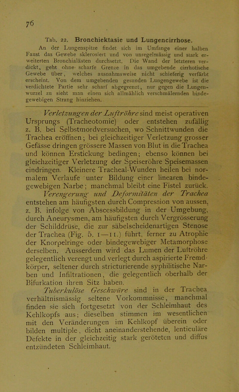 Tab. 22. Bronchiektasie und Lungencirrhose. An der Lungenspitze findet sich im Umfange einer halben Faust das Gewebe sklerosiert und von unregelmässig und stark er- weiterten Bronchialästen durchsetzt. Die Wand der letzteren ver- dickt, geht ohne scharfe Grenze in das umgebende cirrhotische Gewebe über, welches ausnahmsweise nicht schieferig verfärbt erscheint. Von dem umgebenden gesunden Lungengewebe ist die verdichtete Partie sehr scharf abgegrenzt, nur gegen die Lungen- wurzel zu sieht man einen sich allmählich verschmälernden binde- gewebigen Strang hinziehen. Verletzungen der Luftröhre sind meist operativen Ursprungs (Tracheotomie) oder entstehen zufällig z. B. bei Selbstmordversuchen, wo Schnittwunden die Trachea eröffnen; bei gleichzeitiger Verletzung grosser Gefässe dringen grössere Massen von Blut in die Trachea und können Erstickung bedingen; ebenso können bei gleichzeitiger Verletzung der Speiseröhre Speisemassen eindringen. Kleinere Tracheal-Wunden heilen bei nor- malem Verlaufe unter Bildung einer linearen binde- gewebigen Narbe ; manchmal bleibt eine Fistel zurück. Verengerung und Deformitäten der Trachea entstehen am häufigsten durch Compression von aussen, z. B. infolge von Abscessbildung in der Umgebung, durch Aneurysmen, am häufigsten durch Vergrösserung der Schilddrüse, die zur säbelscheidenartigen Stenose der Trachea (Fig. 5. i — n.) führt, ferner zu Atrophie der Knorpelringe oder bindegewebiger Metamorphose derselben. Ausserdem wird das Lumen der Luftröhre gelegentlich verengt und verlegt durch aspirierte Fremd- körper, seltener durch stricturierende syphilitische Nar- ben und Infiltrationen, die gelegentlich oberhalb der Bifurkation ihren Sitz haben. Tuberkulöse Geschwüre sind in der Trachea verhältnismässig seltene Vorkommnisse, manchmal finden sie sich fortgesetzt von der Schleimhaut des Kehlkopfs aus; dieselben stimmen im wesentlichen mit den Veränderungen im Kehlkopf überein oder bilden multiple, dicht aneinanderstehende, lenticuläre Defekte in der gleichzeitig stark geröteten und diltus entzündeten Schleimhaut.