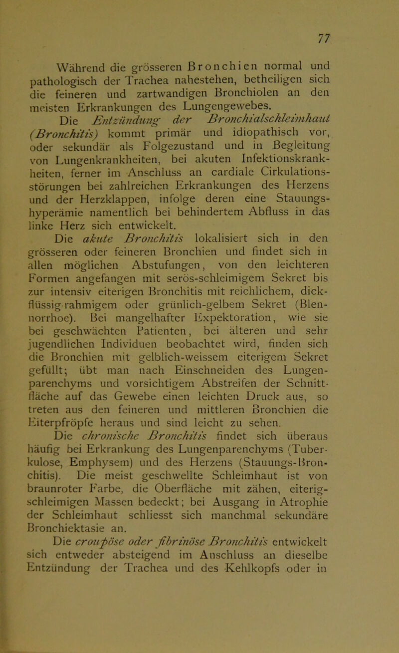 Während die grösseren Bronchien normal und pathologisch der Trachea nahestehen, betheiligen sich die feineren und zartwandigen Bronchiolen an den meisten Erkrankungen des Lungengewebes. Die Entzündung der Bronchialschleimhaut (Bronchitis) kommt primär und idiopathisch vor, oder sekundär als Folgezustand und in Begleitung von Lungenkrankheiten, bei akuten Infektionskrank- heiten, ferner im Anschluss an cardiale Cirkulations- störungen bei zahlreichen Erkrankungen des Herzens und der Herzklappen, infolge deren eine Stauungs- hyperämie namentlich bei behindertem Abfluss in das linke Herz sich entwickelt. Die akute Bronchitis lokalisiert sich in den grösseren oder feineren Bronchien und findet sich in allen möglichen Abstufungen, von den leichteren Formen angefangen mit serös-schleimigem Sekret bis zur intensiv eiterigen Bronchitis mit reichlichem, dick- flüssig-rahmigem oder grünlich-gelbem Sekret (Blen- norrhoe). Bei mangelhafter Expektoration, wie sie bei geschwächten Patienten, bei älteren und sehr jugendlichen Individuen beobachtet wird, finden sich die Bronchien mit gelblich-weissem eiterigem Sekret gefüllt; übt man nach Einschneiden des Lungen- parenchyms und vorsichtigem Abstreifen der Schnitt- fläche auf das Gewebe einen leichten Druck aus, so treten aus den feineren und mittleren Bronchien die Eiterpfropfe heraus und sind leicht zu sehen. Die chronische Bronchitis findet sich überaus häufig bei Erkrankung des Lungenparenchyms (Tuber- kulose, Emphysem) und des Herzens (Stauungs- Bron- chitis). Die meist geschwellte Schleimhaut ist von braunroter P'arbe, die Oberfläche mit zähen, eiterig- schleimigen Massen bedeckt; bei Ausgang in Atrophie der Schleimhaut schliesst sich manchmal sekundäre Bronchiektasie an. Die croupöse oder fibrinöse Bronchitis entwickelt sich entweder absteigend im Anschluss an dieselbe Entzündung der Trachea und des Kehlkopfs oder in