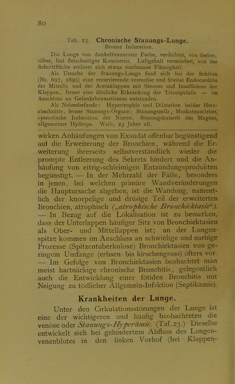 Tab. 23. Chronische Stauungs-Lunge. Braune Induration. Die Lunge von dunkelbraunroter Farbe, verdichtet, von derber, zäher, fast fleischartiger Konsistenz. Luftgehalt vermindert, von der Schnittfläche entleert sich etwas rostbraune Flüssigkeit. Als Ursache der Stauungs-Lunge fand sich bei der Sektion (Nr. 697, 1S95) eine recurrierende verrucöse und fibröse Endocarditis der Mitralis und der Aortaklappen mit Stenose und Insufficienz der Klappen, ferner eine ähnliche Erkrankung der Tricuspidalis — im Anschluss an Gelenkrheumatismus entstanden. Als Nebenbefunde: Hypertrophie und Dilatation beider Herz- abschnitte, ferner Stauungs-Organe: Stauungsmilz, Muskatnussleber, cyanotische Induration der Nieren, Stauungskatarrh des Magens, allgemeiner Hydrops. Weib, 23 Jahre alt. wirken Anhäufungen von Exsudat offenbar begünstigend aut die Erweiterung der Bronchien, während die Er- weiterung ihrerseits selbstverständlich wieder die prompte Entleerung des Sekrets hindert und die An- häufung von eitrig-schleimigen Entzündungsprodukten begünstigt. — In der Mehrzahl der Fälle, besonders in jenen, bei welchen primäre Wandveränderungen die Hauptursache abgeben, ist die Wandung, nament- lich der knorpelige und drüsige Teil der erweiterten Bronchien, atrophisch (vatrophische Bronchiektasie“). — In Bezug auf die Lokalisation ist zu bemerken, dass der Unterlappen häufiger Sitz von Bronchiektasien als Ober- und Mittellappen ist; an der Lungen- spitze kommen im Anschluss an schwielige und narbige Prozesse (Spitzentuberkulose) Bronchiektasien von ge- ringem Umfange (erbsen- bis kirschengross) öfters vor. — Im Gefolge von Bronchiektasien beobachtet man meist hartnäckige chronische Bronchitis, gelegentlich auch die Entwicklung einer fötiden Bronchitis mit Neigung zu tödlicher Allgemein-Infektion (Septikämie). Krankheiten der Lunge. Unter den Cirkulationsstörungen der Lunge ist eine der wichtigeren und häufig beobachteten die venöse oder Stmiungs-Hyperämie. (Taf. 23.) Dieselbe entwickelt sich bei gehindertem Abfluss des Lungen- venenblutes in den linken Vorhof (bei Klappen-