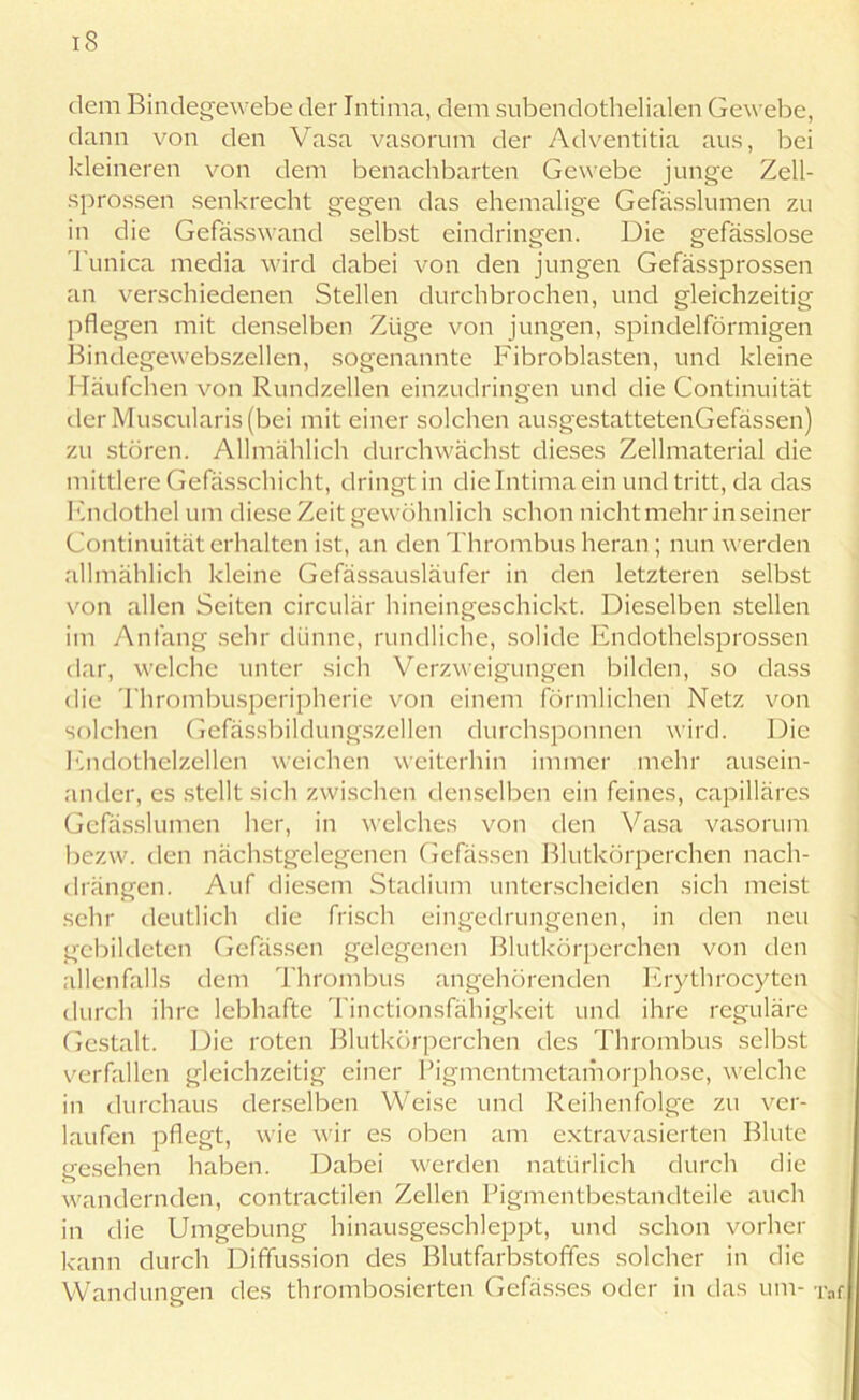 dem Bindegewebe der Intima, dem subendothelialen Gewebe, dann von den Vasa vasorum der Adventitia aus, bei kleineren von dem benachbarten Gewebe junge Zell- sprossen senkrecht gegen das ehemalige Gefasslumen zu in die Gefässwand selbst eindringen. Die gefässlose Tunica media wird dabei von den jungen Gefässprossen an verschiedenen Stellen durchbrochen, und gleichzeitig pflegen mit denselben Züge von jungen, spindelförmigen Bindegewebszellen, sogenannte Fibroblasten, und kleine Häufchen von Rundzellen einzudringen und die Continuität derMuscularis(bei mit einer solchen ausgestattetenGefässen) zu stören. Allmählich durchwächst dieses Zellmaterial die mittlere Gefässchicht, dringt in die Intima ein und tritt, da das Fndothel um diese Zeit gewöhnlich schon nicht mehr in seiner Continuität erhalten ist, an den Thrombus heran; nun werden allmählich kleine Gefässausläufer in den letzteren selbst von allen Seiten circular hineingeschickt. Dieselben stellen im Anfang sehr dünne, rundliche, solide Endothelsprossen dar, welche unter sich Verzweigungen bilden, so dass die Thrombusperipherie von einem förmlichen Netz von solchen Gefassbildungszellen durchsponnen wird. Die Endothelzellen weichen weiterhin immer mehr ausein- ander, es stellt sich zwischen denselben ein feines, capilläres Gefasslumen her, in welches von den Vasa vasorum bezw. den nächstgelegenen Gefässen Blutkörperchen nach- drängen. Auf diesem Stadium unterscheiden sich meist sehr deutlich die frisch eingedrungenen, in den neu gebildeten Gefässen gelegenen Blutkörperchen von den allenfalls dem Thrombus angehörenden Erythrocyten durch ihre lebhafte Tinctionsfähigkeit und ihre reguläre Gestalt. Die roten Blutkörperchen des Thrombus selbst verfallen gleichzeitig einer Pigmentmetamorphose, welche in durchaus derselben Weise und Reihenfolge zu ver- laufen pflegt, wie wir es oben am extravasierten Blute gesehen haben. Dabei werden natürlich durch die wandernden, contractilen Zellen Pigmentbestandteile auch in die Umgebung hinausgeschleppt, und schon vorher kann durch Diffussion des Blutfarbstoffes solcher in die Wandungen des thrombosierten Gefässes oder in das um- t o