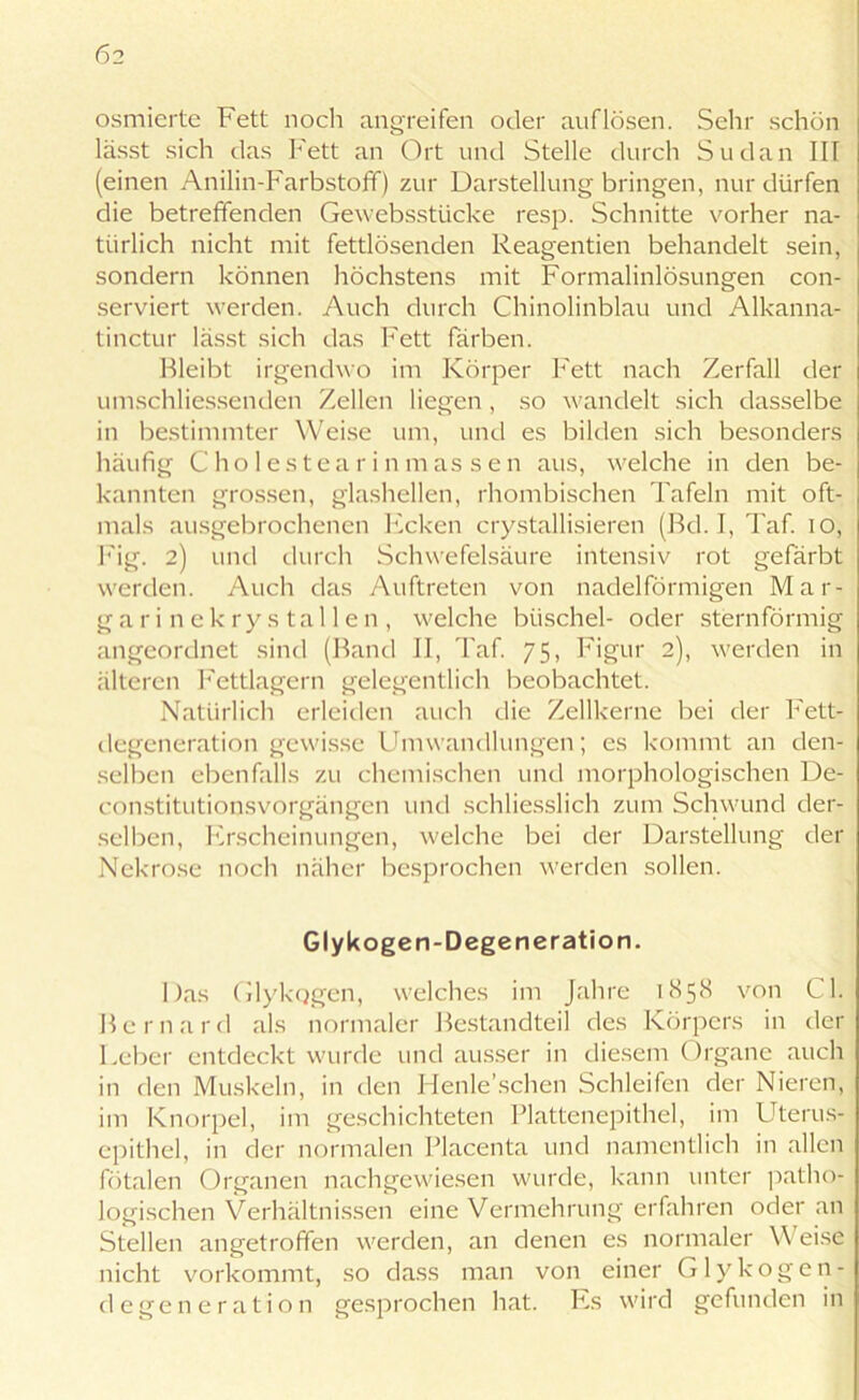 osmierte Fett noch angreifen oder auflösen. Sehr schön lässt sich das Fett an Ort und Stelle durch Sudan III (einen Anilin-Farbstoff) zur Darstellung bringen, nur dürfen die betreffenden Gewebsstlicke resp. Schnitte vorher na- türlich nicht mit fettlösenden Reagentien behandelt sein, sondern können höchstens mit Formalinlösungen con- serviert werden. Auch durch Chinolinblau und Alkanna- tinctur lässt sich das Fett färben. Bleibt irgendwo im Körper Fett nach Zerfall der umschliessenden Zellen liegen, so wandelt sich dasselbe in bestimmter Weise um, und es bilden sich besonders häufig Cholestearin massen aus, welche in den be- kannten grossen, glashellen, rhombischen Tafeln mit oft- mals ausgebrochenen Ecken crystallisieren (Bd. I, Taf. io, Fig. 2) und durch Schwefelsäure intensiv rot gefärbt werden. Auch das Auftreten von nadelförmigen Mar- gar i n c k ry s tal 1 e n , welche büschel- oder sternförmig angeordnet sind (Band II, Taf. 75, Figur 2), werden in älteren Fettlagern gelegentlich beobachtet. Natürlich erleiden auch die Zellkerne bei der Fett- degeneration gewisse Umwandlungen; es kommt an den- selben ebenfalls zu chemischen und morphologischen De- constitutionsvorgängen und schliesslich zum Schwund der- selben, Erscheinungen, welche bei der Darstellung der Nekrose noch näher besprochen werden sollen. Glykogen-Degeneration. Das Glykogen, welches im Jahre 1858 von CI. B e r n a r d als normaler Bestandteil des Körpers in der Leber entdeckt wurde und ausser in diesem Organe auch in den Muskeln, in den Henle’schen Schleifen der Nieren, im Knorpel, im geschichteten Plattenepithel, im Uterus- epithel, in der normalen Placenta und namentlich in allen fötalen Organen nachgewiesen wurde, kann unter patho- logischen Verhältnissen eine Vermehrung erfahren oder an Stellen angetroffen werden, an denen es normaler Weise nicht vorkommt, so dass man von einer Glykogen- degeneration gesprochen hat. Es wird gefunden in