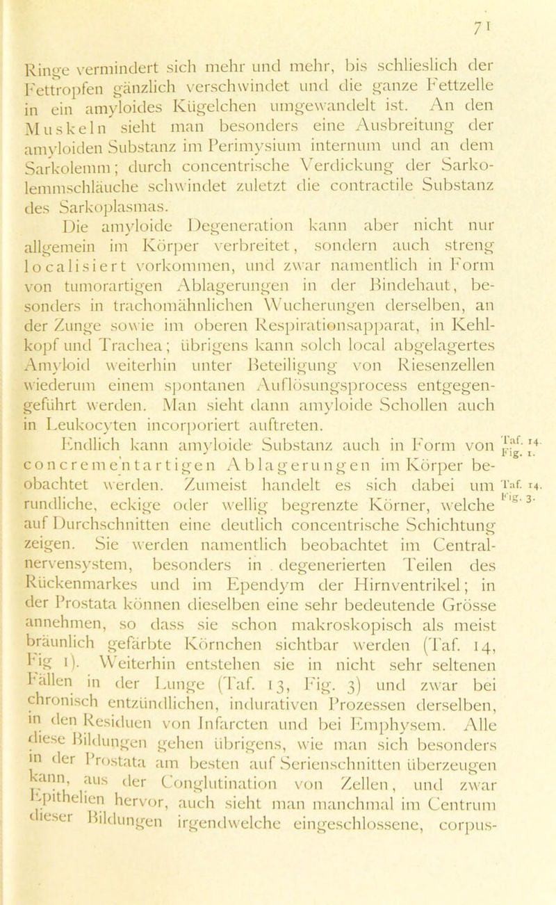 7' Rin<re vermindert sich mehr und mehr, bis schlieslich der Fettropfen gänzlich verschwindet und die ganze Fettzelle in ein amyloides Kügelchen umgewandelt ist. An den Muskeln sieht man besonders eine Ausbreitung der amyloiden Substanz im Perimysium internum und an dem Sarkolemm; durch concentrische Verdickung der Sarko- lemmschläuche schwindet zuletzt die contractile Substanz des Sarkoplasmas. Die amyloide Degeneration kann aber nicht nur allgemein im Körper verbreitet, sondern auch streng 1 o ca 1 i s i e r t Vorkommen, und zwar namentlich in Form von tumorartigen Ablagerungen in der Bindehaut, be- sonders in trachomähnlichen Wucherungen derselben, an der Zunge sowie im oberen Respirationsapparat, in Kehl- kopf und Trachea; übrigens kann solch local abgelagertes Amyloid weiterhin unter Beteiligung von Riesenzellen wiederum einem spontanen Auflösungsprocess entgegen- geführt werden. Man sieht dann amyloide Schollen auch in Leukocyten incorporiert auftreten. Endlich kann amyloide Substanz auch in Form von Hf- 14 , . J ^ r lg. i. concrementartigen Ablagerungen im Körper be- obachtet werden. Zumeist handelt es sich dabei um Tat 14. rundliche, eckige oder wellig begrenzte Körner, welche 3' auf Durchschnitten eine deutlich concentrische Schichtung zeigen. Sie werden namentlich beobachtet im Central- nervensystem, besonders in degenerierten Teilen des Rückenmarkes und im Ependym der Hirnventrikel; in der Prostata können dieselben eine sehr bedeutende Grösse annehmen, so dass sie schon makroskopisch als meist bräunlich gefärbte Körnchen sichtbar werden (Taf. 14, l'ig 1). Weiterhin entstehen sie in nicht sehr seltenen Pallen in der Lunge (Taf. 13, Fig. 3) und zwar bei chronisch entzündlichen, indurativen Prozessen derselben, in den Residuen von Infarcten und bei Emphysem. Alle diese Bildungen gehen übrigens, wie man sich besonders in der Prostata am besten auf Serienschnitten überzeugen kann, aus der Conglutination Pithelien hervor, auch sieht mr dieser Bildungen irgendwelche von Zellen, und zwar an manchmal im Centrum eingeschlossene, corpus-