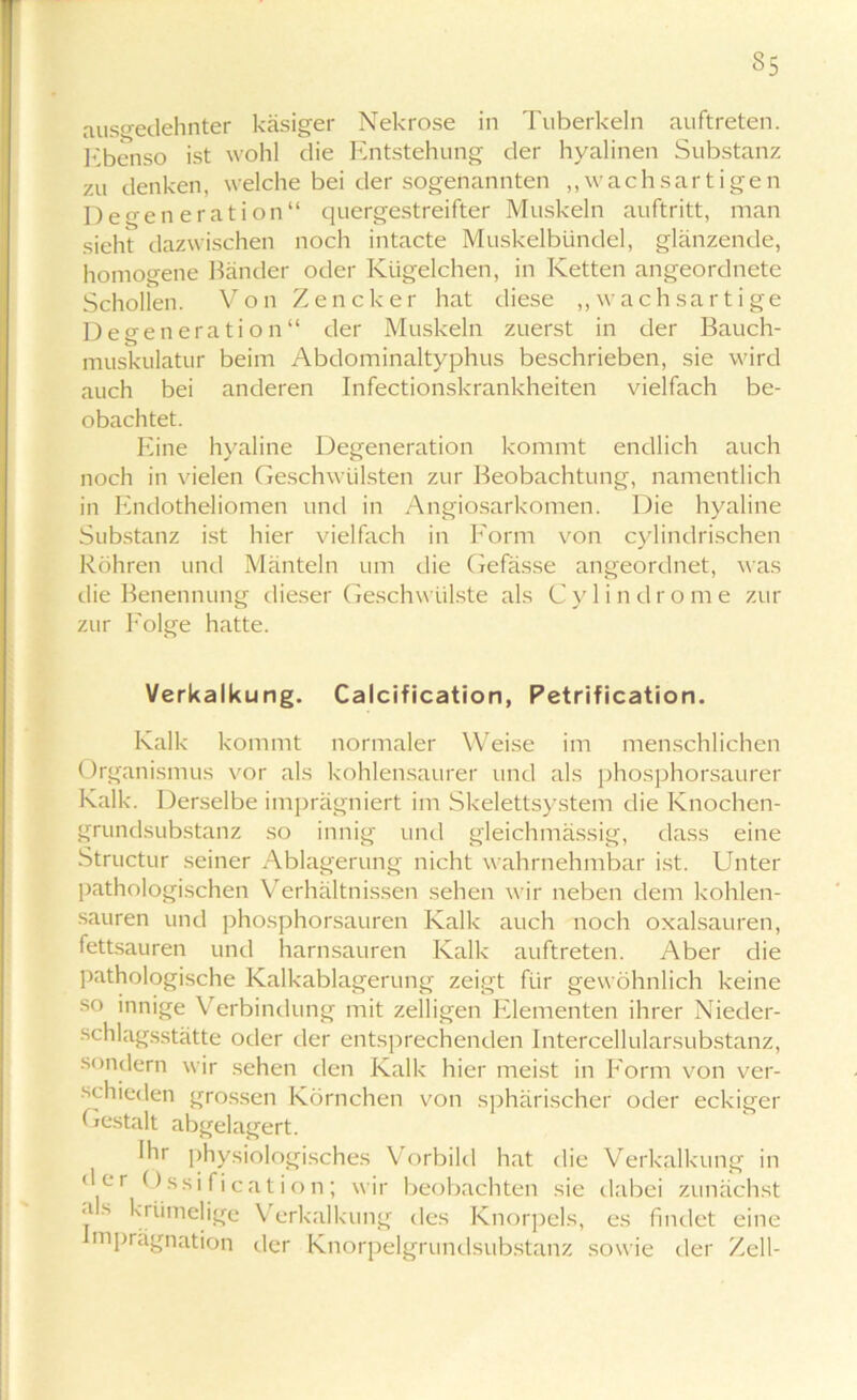 35 ausgedehnter käsiger Nekrose in Tuberkeln auftreten. Ebenso ist wohl die Entstehung der hyalinen Substanz zu denken, welche bei der sogenannten „wachsartigen Degeneration“ quergestreifter Muskeln auftritt, man sieht dazwischen noch intacte Muskelbündel, glänzende, homogene Bänder oder Kügelchen, in Ketten angeordnete Schollen. Von Zencker hat diese „wachsartige Degeneration“ der Muskeln zuerst in der Bauch- muskulatur beim Abdominaltyphus beschrieben, sie wird auch bei anderen Infectionskrankheiten vielfach be- obachtet. Eine hyaline Degeneration kommt endlich auch noch in vielen Geschwülsten zur Beobachtung, namentlich in Endotheliomen und in Angiosarkomen. Die hyaline Substanz ist hier vielfach in Form von cylindrischen Röhren und Mänteln um die Gefässe angeordnet, was die Benennung dieser Geschwülste als C y 1 i n d r o m e zur zur Folge hatte. Verkalkung. Calcification, Petrification. Kalk kommt normaler Weise im menschlichen Organismus vor als kohlensaurer und als phosphorsaurer Kalk. Derselbe imprägniert im Skelettsystem die Knochen- grundsubstanz so innig und gleichmässig, dass eine Structur seiner Ablagerung nicht wahrnehmbar ist. Unter pathologischen Verhältnissen sehen wir neben dem kohlen- sauren und phosphorsauren Kalk auch noch oxalsauren, fettsauren und harnsauren Kalk auftreten. Aber die pathologische Kalkablagerung zeigt für gewöhnlich keine so innige Verbindung mit zelligen Elementen ihrer Nieder- schlagsstätte oder der entsprechenden Intercellularsubstanz, sondern wir sehen den Kalk hier meist in Form von ver- schieden grossen Körnchen von sphärischer oder eckiger Gestalt abgelagert. Ihr physiologisches Vorbild hat die Verkalkung in d er Ossi fication; wir beobachten sie dabei zunächst ‘l s krümelige Verkalkung des Knorpels, es findet eine mprägnation der Knorpelgrundsubstanz sowie der Zell-