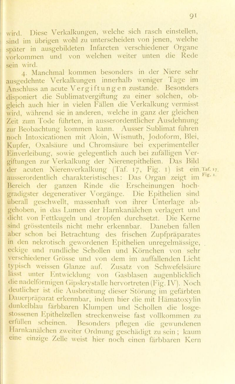 wird. Diese Verkalkungen, welche sich rasch einstellen, sind im übrigen wohl zu unterscheiden von jenen, welche später in ausgebildeten Infarcten verschiedener Organe Vorkommen und von welchen weiter unten die Rede sein wird. 4. Manchmal kommen besonders in der Niere sehr ausgedehnte Verkalkungen innerhalb weniger Tage im Anschluss an acute Vergiftungen zustande. Besonders disponiert die Sublimatvergiftung zu einer solchen, ob- gleich auch hier in vielen Fällen die Verkalkung vermisst wird, während sie in anderen, welche in ganz der gleichen Zeit zum Tode führten, in ausserordentlicher Ausdehnung zur Beobachtung kommen kann. Ausser Sublimat fuhren noch Intoxicationen mit Aloin, Wismuth, Jodoform, Blei, Kupfer, Oxalsäure und Chromsäure bei experimenteller Einverleibung, sowie gelegentlich auch bei zufälligen Ver- giftungen zur Verkalkung der Nierenepithelien. Das Bild der acuten Nierenverkalkung (Taf. 17, Fig. 1) ist ein ausserordentlich charakteristisches: Das Organ zeigt im Bereich der ganzen Rinde die Erscheinungen hoch- gradigster degenerativer Vorgänge. Die Epithelien sind überall geschwellt, massenhaft von ihrer Unterlage ab- gehoben, in das Lumen der Harnkanälchen verlagert und dicht von Fettkugeln und -tropfen durchsetzt. Die Kerne sind grösstenteils nicht mehr erkennbar. Daneben fallen aber schon bei Betrachtung des frischen Zupfpräparates in den nekrotisch gewordenen Epithelien unregelmässige, eckige und rundliche Schollen und Körnchen von sehr verschiedener Grösse und von dem im auffallenden Licht typisch weissen Glanze auf. Zusatz von Schwefelsäure lässt unter Entwicklung von Gasblasen augenblicklich die nadelförmigen Gipskrystalle hervortreten (Fig. IV). Noch deutlicher ist die Ausbreitung dieser Störung im gefärbten Dauerpräparat erkennbar, indem hier die mit Hämatoxylin dunkelblau färbbaren Klumpen und Schollen die losge- stossenen Epithelzellen streckenweise fast vollkommen zu erfüllen scheinen. Besonders pflegen die gewundenen Harnkanälchen zweiter Ordnung geschädigt zu sein ; kaum eine einzige Zelle weist hier noch einen färbbaren Kern Taf. 1 7.