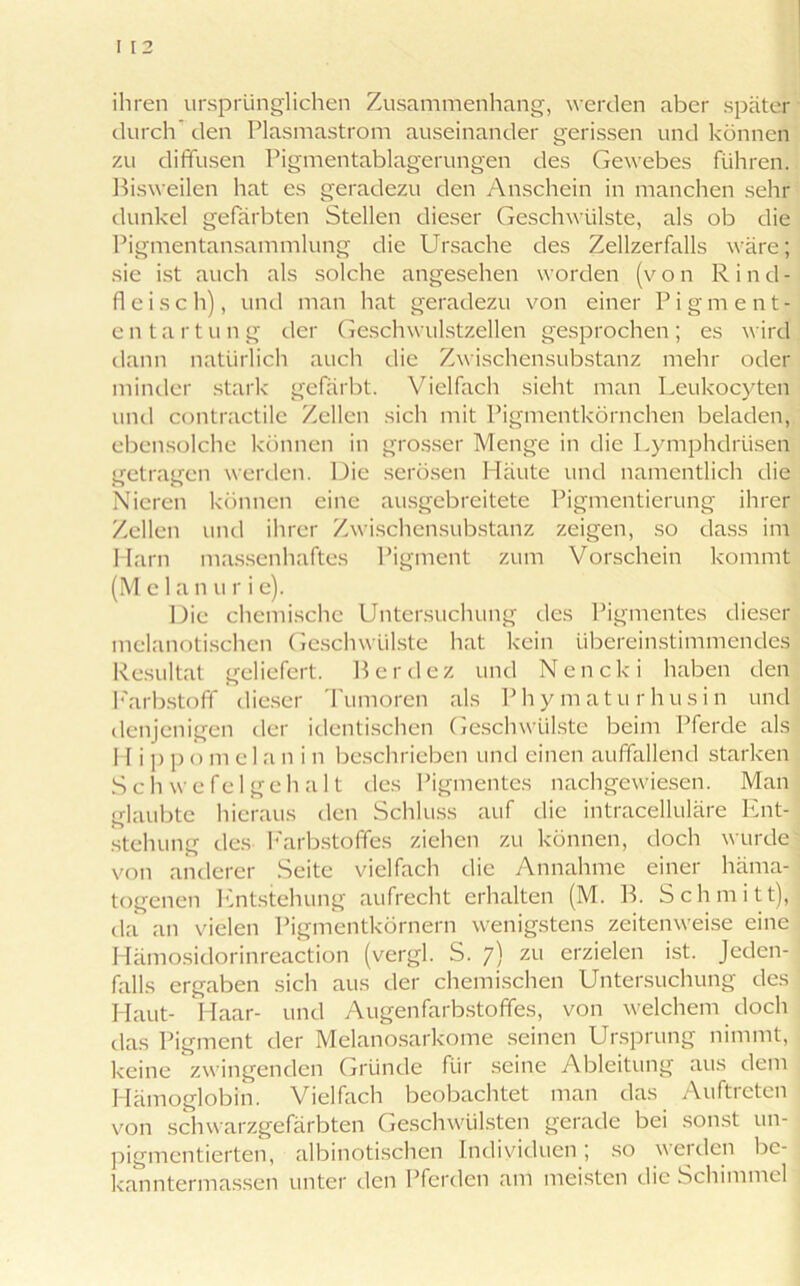 ihren ursprünglichen Zusammenhang, werden aber später durch den Plasmastrom auseinander gerissen und können zu diffusen Pigmentablagerungen des Gewebes führen. Bisweilen hat es geradezu den Anschein in manchen sehr dunkel gefärbten Stellen dieser Geschwülste, als ob die Pigmentansammlung die Ursache des Zellzerfalls wäre; sie ist auch als solche angesehen worden (von Rind- fleisch), und man hat geradezu von einer Pigment- e n t a r t u n g der Geschwulstzellen gesprochen ; es wird dann natürlich auch die Zwischensubstanz mehr oder minder stark gefärbt. Vielfach sieht man Leukocyten und contractile Zellen sich mit Pigmentkörnchen beladen, ebensolche können in grosser Menge in die Lymphdrlisen getragen werden. Die serösen Häute und namentlich die Nieren können eine ausgebreitete Pigmentierung ihrer Zellen und ihrer Zwischensubstanz zeigen, so dass im Harn massenhaftes Pigment zum Vorschein kommt (M e 1 an u r i e). Die chemische Untersuchung des Pigmentes dieser melanotischen Geschwülste hat kein übereinstimmendes Resultat geliefert. B erde z und N e n c k i haben den Farbstoff dieser Tumoren als Phymaturhusin und denjenigen der identischen Geschwülste beim Pferde als H i p p o m el a n i n beschrieben und einen auffallend starken Schwefel geh alt des Pigmentes nachgewiesen. Man glaubte hieraus den Schluss auf die intracelluläre Ent- stehung des Farbstoffes ziehen zu können, doch wurde von anderer Seite vielfach die Annahme einer häma- togenen Entstehung aufrecht erhalten (M. B. Schmitt), da an vielen Pigmentkörnern wenigstens zeitenweise eine Hämosidorinreaction (vergl. S. 7) zu erzielen ist. Jeden- falls ergaben sich aus der chemischen Untersuchung des Haut- Haar- und Augenfarbstoffes, von welchem doch das Pigment der Melanosarkome seinen Ursprung nimmt, keine zwingenden Gründe für seine Ableitung aus dem Hämoglobin. Vielfach beobachtet man das Auftreten von schwarzgefärbten Geschwülsten gerade bei sonst un- pigmcntierten, albinotischen Individuen; so werden bc- kanntermassen unter den Pferden am meisten die Schimmel