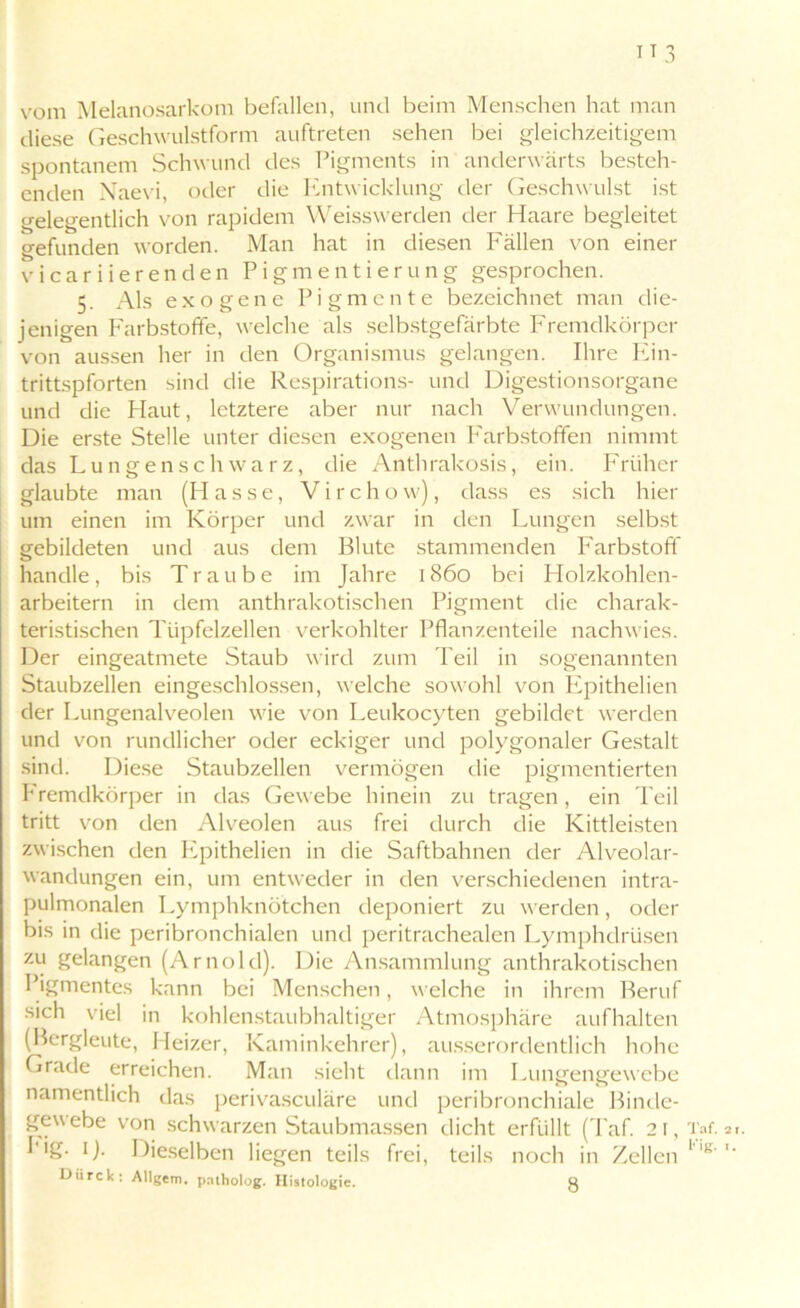 H3 vom Melanosarkom befallen, und beim Menschen hat man diese Geschwulstform auftreten sehen bei gleichzeitigem spontanem Schwund des Pigments in anderwärts besteh- enden Naevi, oder die Entwicklung der Geschwulst ist gelegentlich von rapidem Weisswerden der Haare begleitet gefunden worden. Man hat in diesen Fällen von einer vicariierenden Pigmentierung gesprochen. 5. Als exogene Pigmente bezeichnet man die- jenigen Farbstoffe, welche als selbstgefärbte Fremdkörper von aussen her in den Organismus gelangen. Ihre Ein- trittspforten sind die Respirations- und Digestionsorgane und die Haut, letztere aber nur nach Verwundungen. Die erste Stelle unter diesen exogenen Farbstoffen nimmt das Lungen schwarz, die Anthrakosis, ein. Früher glaubte man (Hasse, V i r c h o w), dass es sich hier um einen im Körper und zwar in den Lungen selbst gebildeten und aus dem Blute stammenden Farbstoff handle, bis Traube im Jahre 1860 bei Holzkohlen- arbeitern in dem anthrakotischen Pigment die charak- teristischen Tüpfelzellen verkohlter Pflanzenteile nachwies. Der eingeatmete Staub wird zum Teil in sogenannten Staubzellen eingeschlossen, welche sowohl von Epithelien der Lungenalveolen wie von Leukocyten gebildet werden und von rundlicher oder eckiger und polygonaler Gestalt sind. Diese Staubzellen vermögen die pigmentierten Fremdkörper in das Gewebe hinein zu tragen, ein Teil tritt von den Alveolen aus frei durch die Kittleisten zwischen den Epithelien in die Saftbahnen der Alveolar- wandungen ein, um entweder in den verschiedenen intra- pulmonalen Lymphknötchen deponiert zu werden, oder bis in die peribronchialen und peritrachealen Lymphdrüsen zu gelangen (Arnold). Die Ansammlung anthrakotischen Pigmentes kann bei Menschen, welche in ihrem Beruf sich viel in kohlenstaubhaltiger Atmosphäre aufhalten (Bergleute, Heizer, Kaminkehrer), ausserordentlich hohe Grade erreichen. Man sieht dann im Lungengewebe namentlich das perivasculäre und peribronchiale Binde- gewebe von schwarzen Staubmassen dicht erfüllt (Taf. 21, Fig. 1). Dieselben liegen teils frei, teils noch in Zellen Dürck: Allgem. patholog. Histologie. g Taf. Vig.