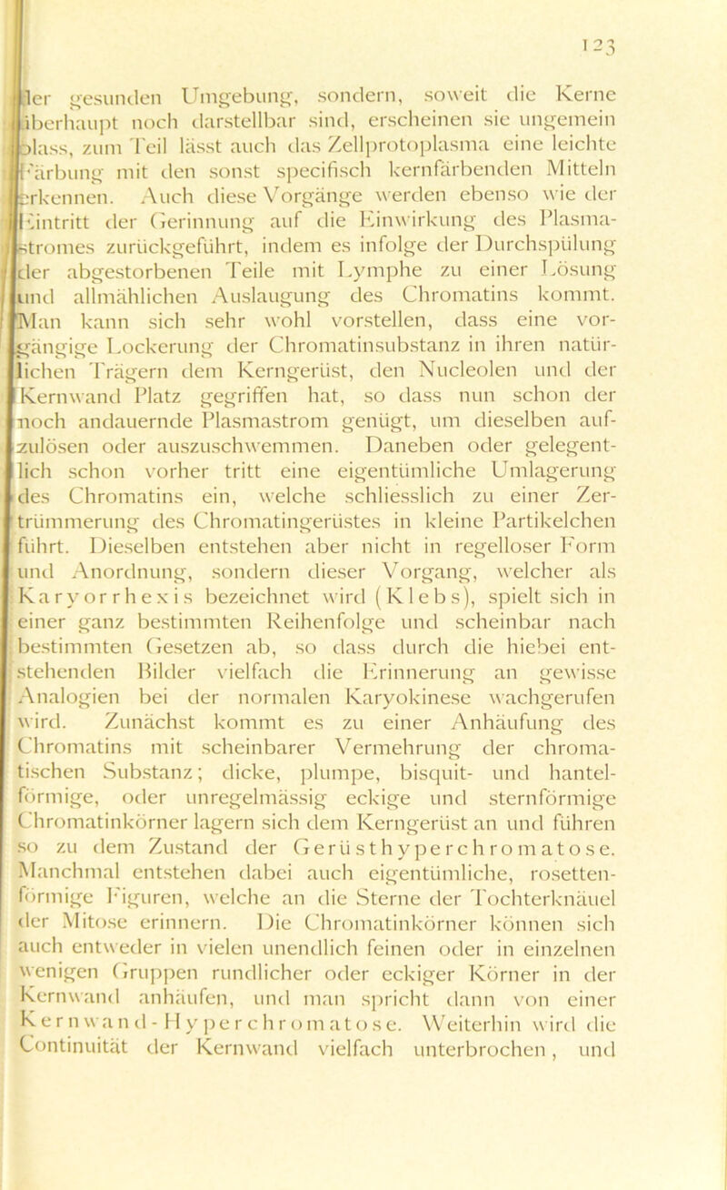 Wer gesunden Umgebung, sondern, soweit die Kerne überhaupt noch darstellbar sind, erscheinen sie ungemein blass, zum Teil lässt auch das Zellprotoplasma eine leichte Färbung mit den sonst specifisch kernfärbenden Mitteln erkennen. Auch diese Vorgänge werden ebenso wie der ||Eintritt der Gerinnung auf die Einwirkung des Plasma- stromes zurückgeführt, indem es infolge der Durchspülung der abgestorbenen Teile mit Lymphe zu einer Lösung und allmählichen Auslaugung des Chromatins kommt. Man kann sich sehr wohl vorstellen, dass eine vor- gängige Lockerung der Chromatinsubstanz in ihren natür- lichen Trägern dem Kerngerüst, den Nucleolen und der Kernwand Platz gegriffen hat, so dass nun schon der noch andauernde Plasmastrom genügt, um dieselben auf- zulösen oder auszuschwemmen. Daneben oder gelegent- lich schon vorher tritt eine eigentümliche Umlagerung des Chromatins ein, welche schliesslich zu einer Zer- trümmerung des Chromatingerüstes in kleine Partikelchen führt. Dieselben entstehen aber nicht in regelloser Form und Anordnung, sondern dieser Vorgang, welcher als Karyorrhexis bezeichnet wird(Klebs), spielt sich in einer ganz bestimmten Reihenfolge und scheinbar nach bestimmten Gesetzen ab, so dass durch die hiebei ent- | stehenden Bilder vielfach die Erinnerung an gewisse Analogien bei der normalen Karyokinese wachgerufen wird. Zunächst kommt es zu einer Anhäufung des Chromatins mit scheinbarer Vermehrung der chroma- tischen Substanz; dicke, plumpe, bisquit- und hantel- förmige, oder unregelmässig eckige und sternförmige Chromatinkörner lagern sich dem Kerngerüst an und führen so zu dem Zustand der Gerüsthyperchromatose. Manchmal entstehen dabei auch eigentümliche, rosetten- förmige Figuren, welche an die Sterne der Tochterknäuel der Mitose erinnern. Die Chromatinkörner können sich auch entweder in vielen unendlich feinen oder in einzelnen wenigen Gruppen rundlicher oder eckiger Körner in der Kernwand anhäufen, und man spricht dann von einer Kernwand-Hyperchromato.se. Weiterhin wird die Kontinuität der Kernwand vielfach unterbrochen, und