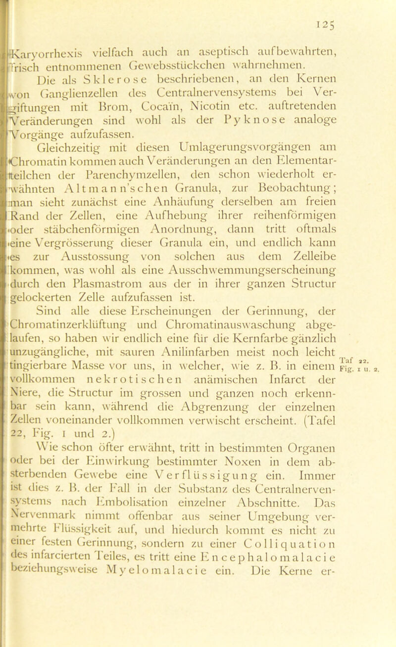 Karyorrhexis vielfach auch an aseptisch auf bewahrten, 'frisch entnommenen Gewebsstückchen wahrnehmen. Die als Sklerose beschriebenen, an den Kernen von Ganglienzellen des Centralnervensystems bei Ver- giftungen mit Brom, Cocain, Nicotin etc. auftretenden Veränderungen sind wohl als der Pyknose analoge Vorgänge aufzufassen. Gleichzeitig mit diesen Umlagerungsvorgängen am «Chromatin kommen auch Veränderungen an den Elementar- iteilchen der Parenchymzellen, den schon wiederholt er- ■wähnten Alt man n’schen Granula, zur Beobachtung; iman sieht zunächst eine Anhäufung derselben am freien Rand der Zellen, eine Aufhebung ihrer reihenförmigen •oder stäbchenförmigen Anordnung, dann tritt oftmals •eine Vergrösserung dieser Granula ein, und endlich kann •es zur Ausstossung von solchen aus dem Zelleibe kommen, was wohl als eine Ausschwemmungserscheinung durch den Plasmastrom aus der in ihrer ganzen Structur gelockerten Zelle aufzufassen ist. Sind alle diese Erscheinungen der Gerinnung, der Chromatinzerkltiftung und Chromatinauswaschung abge- laufen, so haben wir endlich eine für die Kernfarbe gänzlich unzugängliche, mit sauren Anilinfarben meist noch leicht tingierbare Masse vor uns, in welcher, wie z. B. in einem vollkommen nekrotischen anämischen Infarct der Niere, die Structur im grossen und ganzen noch erkenn- bar sein kann, während die Abgrenzung der einzelnen Zellen voneinander vollkommen verwischt erscheint. (Tafel 22, Fig. i und 2.) Wie schon öfter erwähnt, tritt in bestimmten Organen oder bei der Einwirkung bestimmter Noxen in dem ab- sterbenden Gewebe eine Verflüssigung ein. Immer ist dies z. B. der Fall in der Substanz des Centralnerven- systems nach Embolisation einzelner Abschnitte. Das Nervenmark nimmt offenbar aus seiner Umgebung ver- mehrte Flüssigkeit auf, und hiedurch kommt es nicht zu einer festen Gerinnung, sondern zu einer C o 11 i q u a t i o n des infarcierten I eiles, es tritt eine Encephalomalacie beziehungsweise Myelomalacie ein. Die Kerne er- Taf 22. Fig. i u. 2.