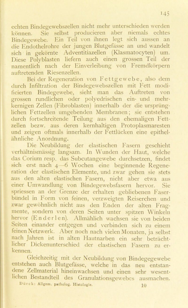 echten Bindegewebszellen nicht mehr unterschieden werden können. Sie selbst producieren aber niemals echtes Bindegewebe. Ein Teil von ihnen legt sich aussen an die Endothelrohre der jungen Blutgefässe an und wandelt sich in gekörnte Adventitiazellen (Klasmatocyten) um. Diese Polyblasten liefern auch einen grossen Teil der namentlich nach der Einverleibung von Fremdkörpern auftretenden Riesenzellen. Bei der Regeneration von Fettgewebe, also dem durch Infiltration der Bindegewebszellen mit Fett modi- ficierten Bindegewebe, sieht man das Auftreten von grossen rundlichen oder polyedrischen ein- und mehr- kernigen Zellen (Fibroblasten) innerhalb der die ursprüng- lichen Fettzellen umgebenden Membranen; sie entstehen durch fortschreitende Teilung aus den ehemaligen Fett- zellen bezw. aus deren kernhaltigen Protoplasmaresten und zeigen oftmals innerhalb der Fettlücken eine epithel- ähnliche Anordnung. Die Neubildung der elastischen Fasern geschieht verhältnismässig langsam. In Wunden der Haut, welche das Corium resp. das Subcutangewebe durchsetzen, findet sich erst nach 4—6 Wochen eine beginnende Regene- ration der elastischen Elemente, und zwar gehen sie stets aus den alten elastischen Fasern, nicht aber etwa aus einer Umwandlung von Bindegewebsfasern hervor. Sie spriessen an der Grenze der erhalten gebliebenen Faser- biindel in Form von feinen, verzweigten Reiserchen und zwar gewöhnlich nicht aus den Enden der alten Frag- mente, sondern von deren Seiten unter spitzen Winkeln hervor (E n d e r 1 e n). Allmählich wachsen sie von beiden Seiten einander entgegen und verbinden sich zu einem feinen Netzwerk. Aber noch nach vielen Monaten, ja selbst nach Jahren ist in alten Hautnarben ein sehr beträcht- licher Dicken unterschied der elastischen Fasern zu er- kennen. Gleichzeitig mit der Neubildung von Bindegegewebe entstehen auch Blutgefässe, welche in das neu entstan- dene Zellmaterial hineinwachsen und einen sehr wesent- lichen Bestandteil des Granulationsgewebcs ausmachen. Dürck: Allgcm. patholog. Histologie.