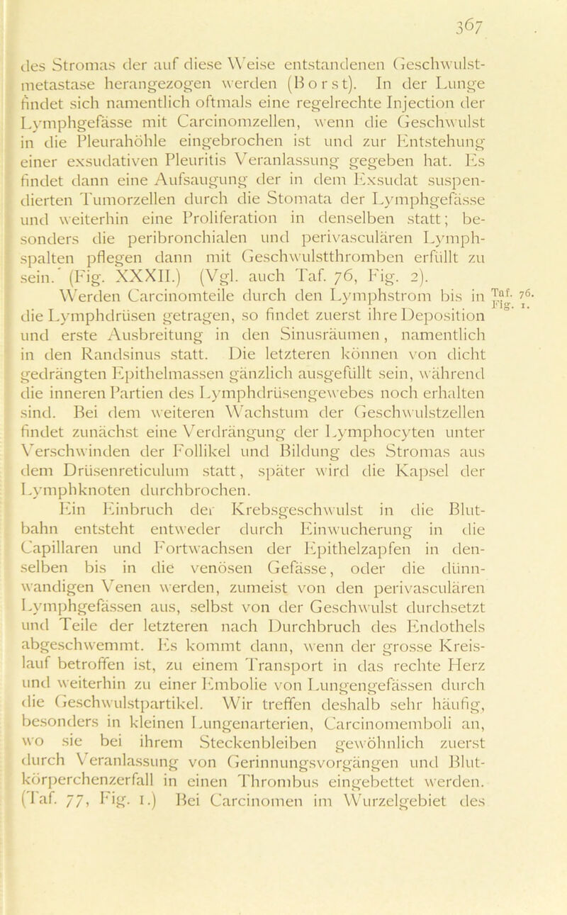 367 des Stromas der auf diese Weise entstandenen Geschwulst- metastase herangezogen werden (Borst). In der Lunge findet sich namentlich oftmals eine regelrechte Injection der Lymphgefasse mit Carcinomzellen, wenn die Geschwulst in die Pleurahöhle eingebrochen ist und zur Entstehung einer exsudativen Pleuritis Veranlassung gegeben hat. Es findet dann eine Aufsaugung der in dem Exsudat suspen- dierten Tumorzellen durch die Stomata der Lymphgefasse und weiterhin eine Proliferation in denselben statt; be- sonders die peribronchialen und perivasculären Lymph- spalten pflegen dann mit Geschwulstthromben erfüllt zu sein. (Fig. XXXII.) (Vgl. auch Taf. 76, Fig. 2). Werden Carcinomteile durch den Lymphstrom bis in ?6- die Lymphdrüsen getragen, so findet zuerst ihre Deposition und erste Ausbreitung in den Sinusräumen, namentlich in den Randsinus statt. Die letzteren können von dicht gedrängten Epithelmassen gänzlich ausgefüllt sein, während die inneren Partien des Lymphdrüsengewebes noch erhalten sind. Bei dem weiteren Wachstum der Geschwulstzellen findet zunächst eine Verdrängung der Lymphocyten unter Verschwinden der Follikel und Bildung des Stromas aus dem Drüsenreticulum statt, später wird die Kapsel der Lymphknoten durchbrochen. Ein Einbruch der Krebsgeschwulst in die Blut- bahn entsteht entweder durch Einwucherung in die Capillaren und Fortwachsen der Epithelzapfen in den- selben bis in die venösen Gefässe, oder die dünn- wandigen Venen werden, zumeist von den perivasculären Lymphgefässen aus, selbst von der Geschwulst durchsetzt und Teile der letzteren nach Durchbruch des Endothels abgeschwemmt. Es kommt dann, wenn der grosse Kreis- lauf betroffen ist, zu einem Transport in das rechte Fferz und weiterhin zu einer Embolie von Lungengefässen durch die Geschwulstpartikel. Wir treffen deshalb sehr häufig, besonders in kleinen Lungenarterien, Carcinomemboli an, wo sie bei ihrem Steckenbleiben gewöhnlich zuerst durch Veranlassung von Gerinnungsvorgängen und Blut- körperchenzerfall in einen Thrombus eingebettet werden. (1 af. 77, big. 1.) Bei Carcinomen im Wurzelgebiet des