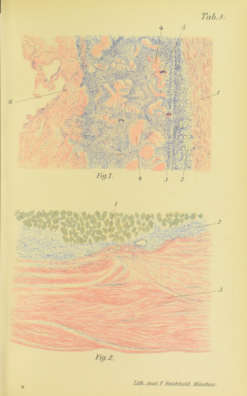 ß '■'■l J Fifj.l. .3 Fil,S.