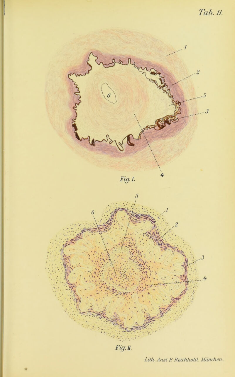 Tab. II. 5 Fifj.I. Füf.n.