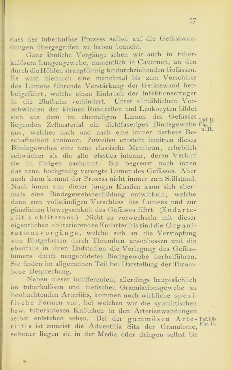 dass der tuberkulöse Prozess selbst auf die Gefässwan- dungen übergegriffen zu haben braucht. Ganz ähnliche Vorgränge sehen wir auch in tuber- kulösem Lungengewebe, namentlich in Cavernen, an den durch die Höhlen strangförmig hindurchziehenden Gefässen. Es wird hiedurch eine manchmal bis zum Verschluss des Lumens führende V^erstärkung der Gefässwand her- beigeführt , welche einen Einbruch der Infektionserreger in die Blutbahn verhindert. Unter allmählichem Ver- schwinden der kleinen Rundzellen und Leukocyten bildet sich aus dem im ehemaligen Lumen des Gefässes liegenden Zellmaterial ein dichtfaseriges Bindegewebe aus, welches nach und nach eine immer derbere Be- schaffenheit annimmt. Zuweilen entsteht inmitten dieses Bindegewebes eine neue elastische Membran, erheblich schwächer als die alte elastica interna, deren Verlauf sie im übrigen nachahmt. Sie begrenzt nach innen das neue, hochgradig verengte Lumen des Gefässes. Aber auch dann kommt der Prozess nicht immer zum Stillstand. Nach innen von dieser jungen Elastica kann sich aber- mals eine Bindegewebsneubildung entwickeln, welche dann zum vollständigen Verschluss des Lumens und zur gänzlichen Unwegsamkeit des Gefässes führt. (Endarte- riitis obliterans.) Nicht zu verwechseln mit dieser eigentlichen obliterierenden Endarteriitis sind die Organi- sationsvorgänge, welche sich an die Verstopfung von Blutgefässen durch Thromben anschliessen und die ebenfalls in ihren Endstadien die Verlegung des Gefäss- lumens durch neugebildetes Bindegewebe herbeiführen. Sie finden im allgemeinen Teil bei Darstellung der Throm- bose Besprechung. Neben dieser indifferenten, allerdings hauptsächlich im tuberkulösen und luetischen Granulationsgewebe zu beobachtenden Arteriitis, kommen noch wirkliche spezi- fische Formen vor, bei welchen wir die syphilitischen bzw. tuberkulösen Knötchen in den Arterien Wandungen selbst entstehen sehen. Bei der gummösen Arte- riitis ist zumeist die Adventitia Sitz der Granulome, seltener liegen sie in der Media oder dringen selbst bis Taf. 11 Pig.l u. II. Taf. 10b Fig. II.