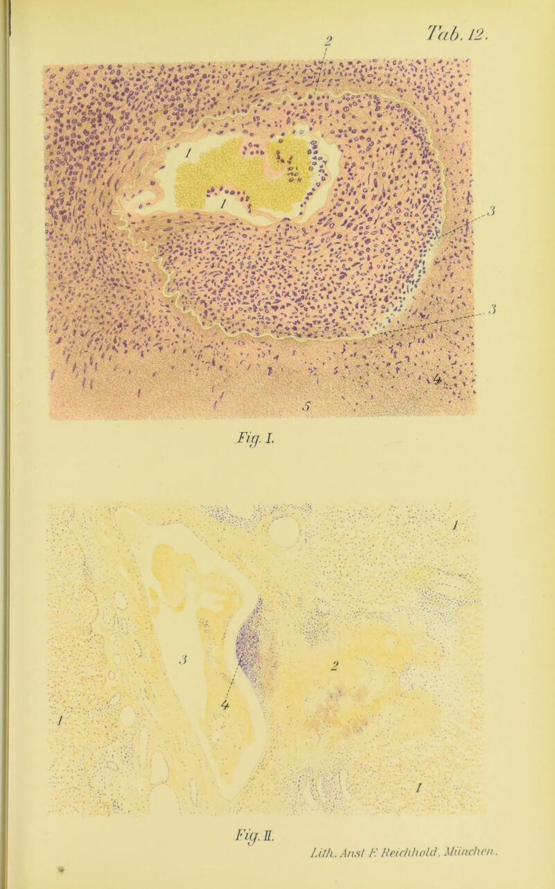 (l r- ' '■ ' ■ n< ., »r / •■ ' ’ > ■•- . '*A ■■- • M. • » /’/r/.J. ////i. .l/i.v/ /■: Hcuiüwhl. MünchvH.