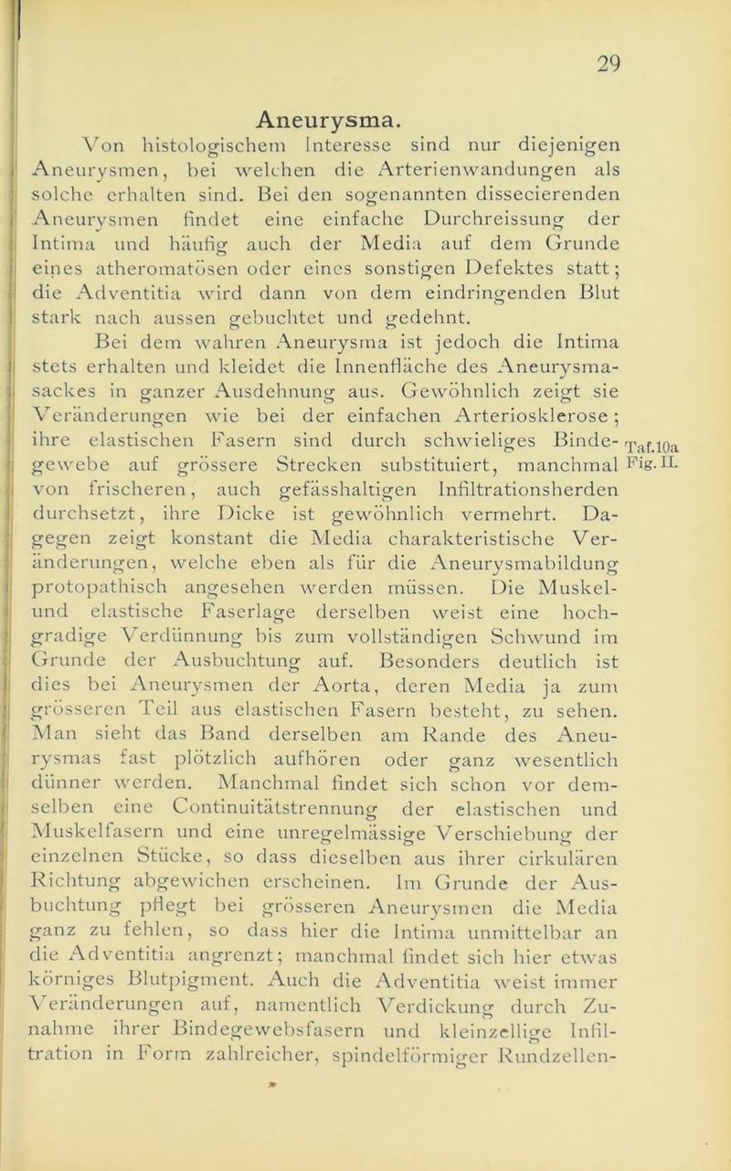 Aneurysma. Von histologischem Interesse sind nur diejenigen ' Aneurysmen, bei welchen die Arterienwandungen als solche erhalten sind. Bei den sogenannten dissecierenden 1 Aneurysmen findet eine einfache Durchreissung der ; Intima und häufisf auch der Media auf dem Grunde I eines atheromatösen oder eines sonstitjen Defektes statt: I die Adventitia wird dann von dem eindringenden Blut ' stark nach aussen gebuchtet und gedehnt. Bei dem wahren Aneurysma ist jedoch die Intima j stets erhalten und kleidet die Innenfläche des Aneurysma- I sackes in oranzer Ausdehnung aus. Gewöhnlich zeiget sie ! Veränderungen wie bei der einfachen Arteriosklerose; ! ihre elastischen Fasern sind durch schwieliges Binde- xaf.lOa I ge webe auf grössere Strecken substituiert, manchmal Pig-II. I von frischeren, auch gefässhaltigen Infiltrationsherden : durchsetzt, ihre Dicke ist gewöhnlich vermehrt. Da- j gegen zeigt konstant die Aledia charakteristische Ver- i änderungen, welche eben als für die Aneurysmabildung : protopathisch angesehen werden müssen. Die Muskel- I und elastische Faserlage derselben weist eine hoch- I gradige Verdünnung bis zum vollständigen Schwund im I Grunde der Ausbuchtung auf. Besonders deutlich ist ; dies bei Aneurysmen der Aorta, deren Media ja zum ] grösseren Feil aus elastischen Fasern besteht, zu sehen. Man sieht das Band derselben am Rande des Aneu- : rysmas fast plötzlich aufhören oder ganz wesentlich [’ dünner werden. Alanchmal findet sich schon vor dem- i selben eine Continuitätstrennungf der elastischen und ' Aluskelfasern und eine unregelmässiofe Verschiebunir der einzelnen Stücke, so dass dieselben aus ihrer cirkulären Richtung abgewichen erscheinen. Im Grunde der Aus- buchtung pflegt bei grösseren Aneurysmen die Media ganz zu fehlen, so dass hier die Intima unmittelbar an die Adventitia angrenzt; manchmal findet sich hier etwas körniges Blutpigment. Auch die Adventitia weist immer Veränderungen auf, namentlich Verdickung durch Zu- nahme ihrer Bindegewebsfasern und kleinzclliore Infil- tration in Form zahlreicher, spindelförmiger Rundzcllen-