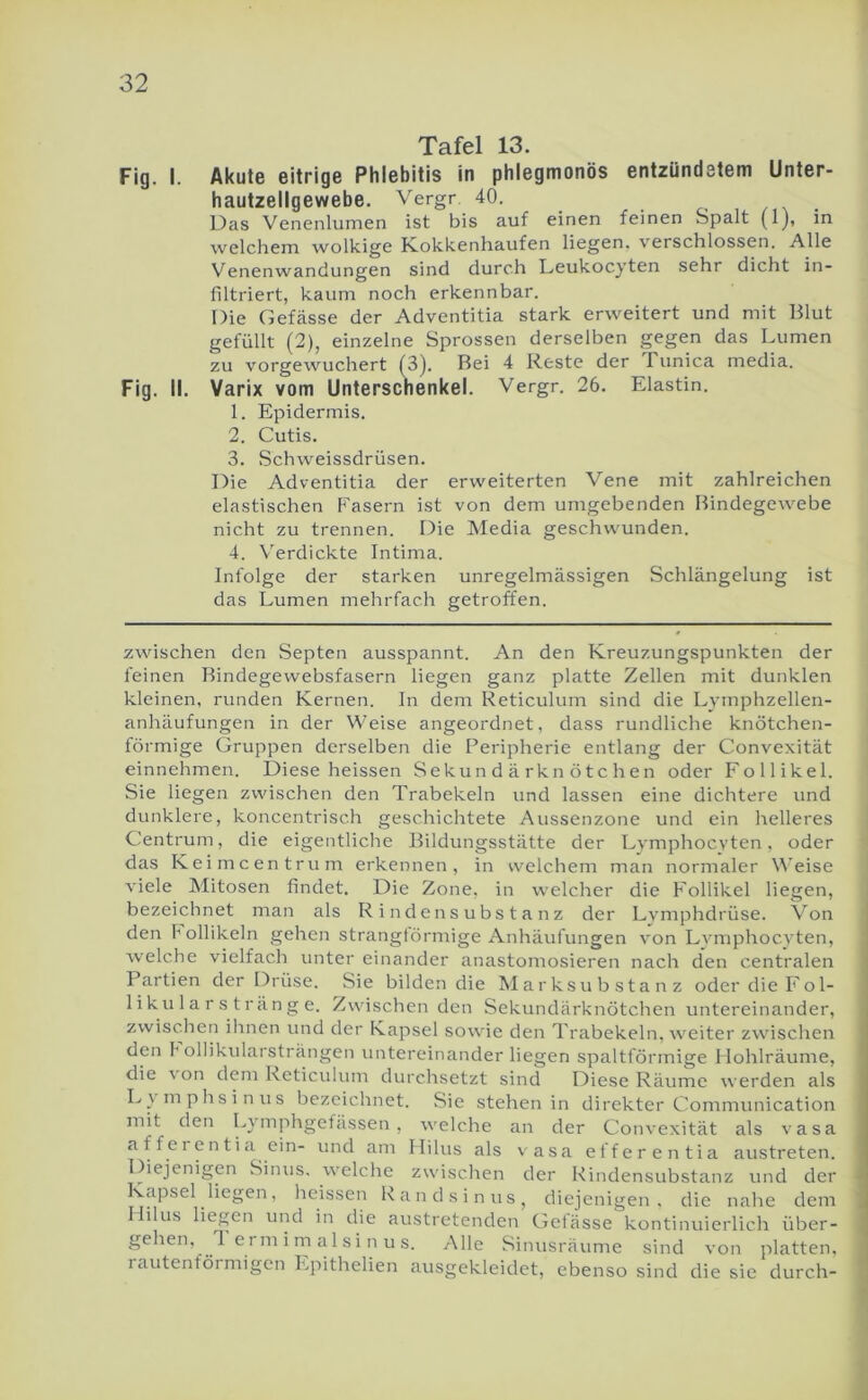 Fig. I. Fig. II. Tafel 13. Akute eitrige Phlebitis in phlegmonös entzündetem Unter- hautzellgewebe. Vergr 40. Das Venenlumen ist bis auf einen feinen Spalt (1), in welchem wolkige K.okkenhaufen liegen, verschlossen. Alle Venenwandungen sind durch Leukocyten sehr dicht in- filtriert, kaum noch erkennbar. Die Gefässe der Adventitia stark erweitert und mit Blut gefüllt (2), einzelne Sprossen derselben gegen das Lumen zu vorgewuchert f3). Bei 4 Reste der Tunica media. Varix vom Unterschenkel. Vergr. 26. Elastin. 1. Epidermis. 2. Cutis. 3. Schweissdrüsen. Die Adventitia der erweiterten Vene mit zahlreichen elastischen Fasern ist von dem umgebenden Bindegewebe nicht zu trennen. Die Media geschwunden. 4. Verdickte Intima. Infolge der starken unregelmässigen Schlängelung ist das Lumen mehrfach getroffen. zwischen den Septen ausspannt. An den Kreuzungspunkten der feinen Bindegewebsfasern liegen ganz platte Zellen mit dunklen kleinen, runden Kernen. In dem Reticulum sind die Lymphzellen- anhäufungen in der Weise angeordnet, dass rundliche knötchen- förmige Gruppen derselben die Peripherie entlang der Convexität einnehmen. Diese heissen Sekundärknötchen oder Follikel. Sie liegen zwischen den Trabekeln und lassen eine dichtere und dunklere, koncentrisch geschichtete Aussenzone und ein helleres Centrum, die eigentliche Bildungsstätte der Lvmphocvten, oder das Keimcentrum erkennen, in welchem man normaler ^^’eise viele Mitosen findet. Die Zone, in welcher die Follikel liegen, bezeichnet man als R i n d e n s u b s t a n z der Lymphdrüse. Von den f ollikeln gehen strangtörmige Anhäufungen vmn Lymphocyten, welche vielfach unter einander anastomosieren nach den centralen Partien der Drüse. Sie bilden die Marksubstanz oderdieFol- 1 i ku 1 a r s t r ä n g e. Zwischen den Sekundärknötchen untereinander, zwischen ilinen und der Kapsel sowie den Trabekeln, weiter zwischen den b ollikularsträngen untereinander liegen spaltförmige Hohlräume, die von dem Reticulum durchsetzt sind Diese Räume werden als L}inphsinus bezeichnet. Sie stehen in direkter Connnunication mit den Lv mphgefässen , vv'elche an der Convexität als vasa a f f e I e n ti a ein- und am Hilus als vasa efferentia austreten. Diejenigen Sinus, welche zwischen der Rindensubstanz und der Kapsel liegen, heissen Randsinus, diejenigen, die nahe dem Ililus liegen und in die austretenden Gefässe kontinuierlich über- gehen, 1 erm i rn a 1 s i n u s. Alle Situisräume sind von platten, 1 autenföi migcn Lpithelien ausgekleidet, ebenso sind die sie durch-