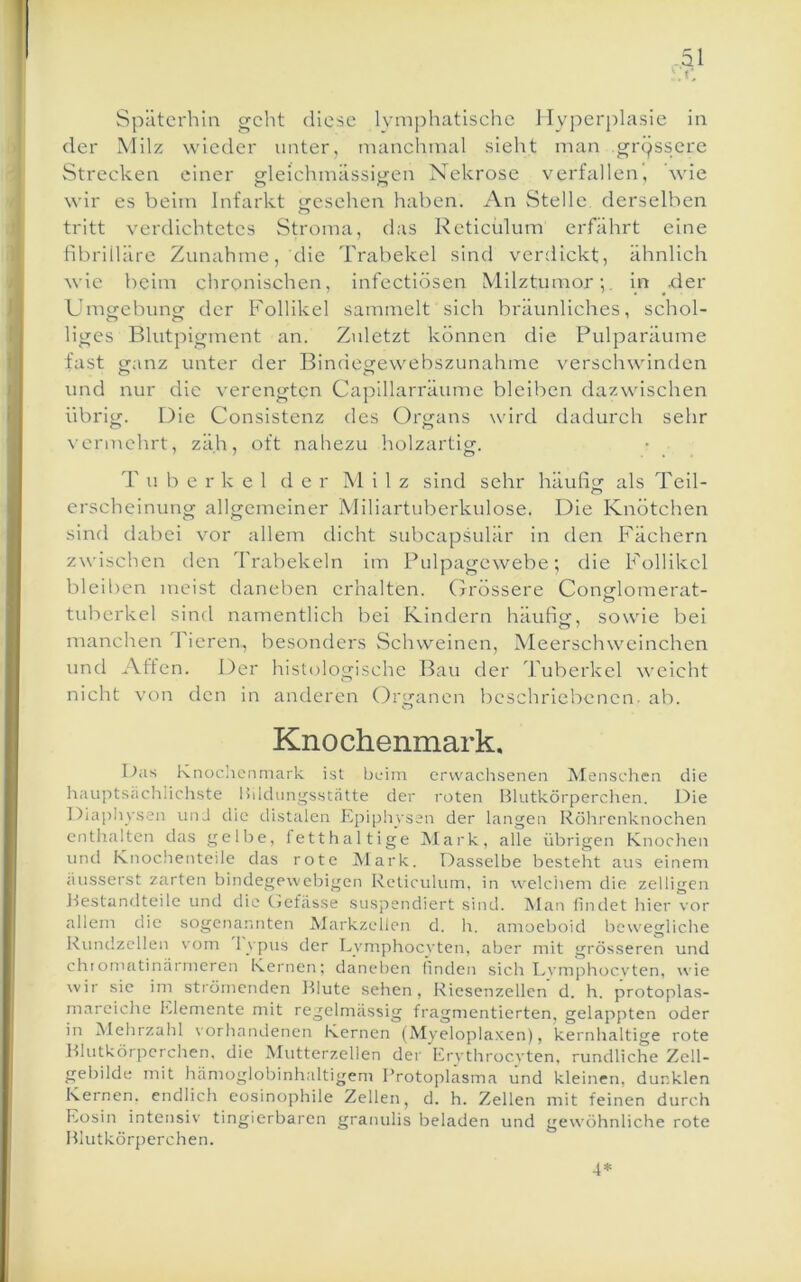 Späterhin geht diese lymphatische Myperplasie in der Milz wieder unter, manchmal sieht man grpsscre Strecken einer gleichmässigen Nekrose verfallen’, 'wie wir es beim Infarkt iresehen haben. An vStelle derselben tritt verdichtetes Stroma, das Reticulum erfährt eine hbriiläre Zunahme, die Trabekel sind verdickt, ähnlich wie beim chronischen, infectiösen Milztumor in xler Umgebung der Follikel sammelt sich bräunliches, schol- liges Blutpigment an. Zuletzt können die Pulparäume fast tjanz unter der Bindew'ewehszunahme verschwinden und nur die verengten Capillarräume bleiben dazwischen übrig. Die Consistenz des Organs wird dadurch sehr \'ermehrt, zäh, oft nahezu holzartig. T u b e r k e 1 de r Milz sind sehr häufig als Teil- erscheinung allgemeiner Miliartuberkulose. Die Knötchen sind dabei vor allem dicht subcapsulär in den Fächern zwischen den Trabekeln im Pulpagewebe; die Follikel bleiben meist daneben erhalten, (jrössere Conglomerat- tuberkel sind namentlich bei Kindern häufi<r, sowie bei manchen Tieren, besonders vSchweinen, Meerschweinchen und Affen. Der histologische Bau der Tuberkel weicht nicht von den in anderen Organen beschriebenen- ab. Knochenmark, Da.s Knochenmark ist beim erwachsenen Alensclien die hauptsacliücliste Ihldungsstatte der roten Blutkörperchen. Die Diaphysen unJ die distalen Epiphysen der langen Röhrenknochen enthalten das gelbe, fetthaltige Mark, alle übrigen Knochen und Knochenteile das rote ]\lark. Dasselbe besteht aus einem ausserst zarten bindegewebigen Reticulum, in welchem die zelligen Bestandteile und die (jefasse suspendiert sind. Man findet hier vor allem die sogenannten Markzellen d. h. amoeboid bewegliche Rundzellen vom lypus der Iwmphocyten, aber mit grösseren und chtomatinärmeren Kernen; daneben finden sich Lvmphocvten, wie wir sie im strömenden Blute sehen, Riesenzellcn d. h. protoplas- mareiche Elemente mit regelmässig fragmentierten, gelappten oder in ISJehrzahl vorhandenen Kernen (Myeloplaxen), kernhaltige rote Blutkörperchen, die Mutterzellen der Erythroevten. rundliche Zell- gebilde mit hämoglobinhaltigem Protoplasma und kleinen, dunklen Kernen, endlich eosinophile Zellen, d. h. Zellen mit feinen durch Eosin intensiv tingierbaren granulis beladen und gewöhnliche rote BIutkör{)erchen. 4*