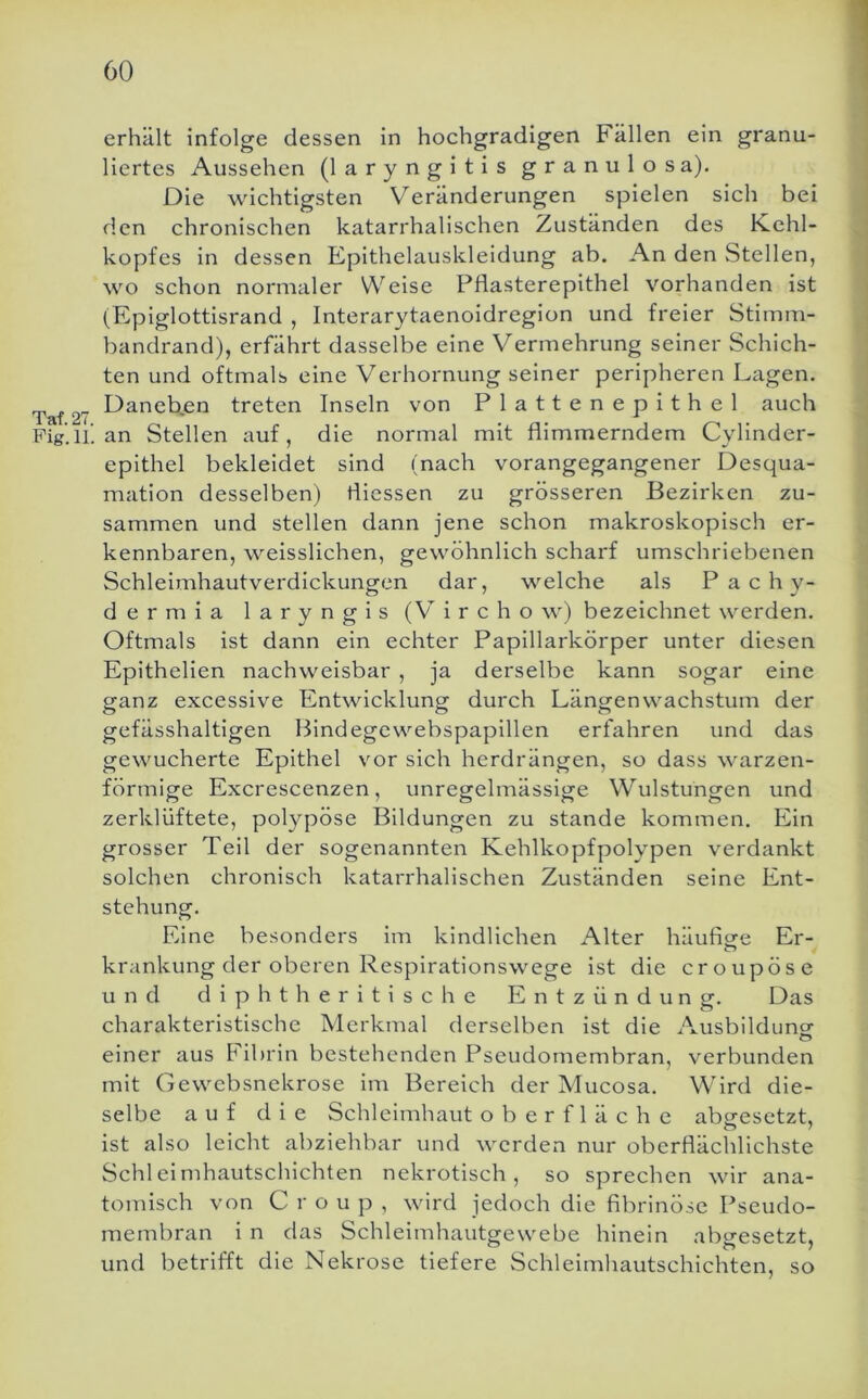 erhält infolge dessen in hochgradigen Fällen ein granu- liertes Aussehen (laryngitis granulösa). Die wichtigsten Veränderungen spielen sich bei den chronischen katarrhalischen Zuständen des Kehl- kopfes in dessen Epithelauskleidung ab. An den Stellen, wo schon normaler Welse Pflasterepithel vorhanden ist (Epiglottisrand , Interarytaenoidregion und freier Stimm- bandrand), erfährt dasselbe eine Vermehrung seiner Schich- ten und oftmals eine Verhornung seiner peripheren Lagen. Taf 27 treten Inseln von Plattenepithel auch Fig.ii'. an Stellen auf, die normal mit flimmerndem Cylinder- epithel bekleidet sind (nach vorangegangener Desqua- mation desselben) fliessen zu grösseren Bezirken zu- sammen und stellen dann jene schon makroskopisch er- kennbaren, weisslichen, gewöhnlich scharf umschriebenen Schleimhautverdickungen dar, welche als P a c h y- dermia laryngis (V i r c h o w) bezeichnet werden. Oftmals ist dann ein echter Papillarkörper unter diesen Epithelien nachweisbar , ja derselbe kann sogar eine ganz excessive Entwicklung durch Längenwachstum der gefässhaltlgen Bindegewebspapillen erfahren und das gewucherte Epithel vor sich herdrängen, so dass warzen- förmige Excrescenzen, unregelmässige Wulstungen und zerklüftete, polypöse Bildungen zu stände kommen. Ein grosser Teil der sogenannten Kehlkopfpolypen verdankt solchen chronisch katarrhalischen Zuständen seine Ent- stehung. Eine besonders im kindlichen Alter häuficje Er- krankung der oberen Respirationswege ist die croupöse und diphtheritische Entzündung. Das charakteristische Merkmal derselben ist die Ausbilduno- O einer aus Fibrin bestehenden Pseudomembran, verbunden mit Gewebsnekrose im Bereich der Mucosa. Wird die- selbe auf die Schleimhaut Oberfläche absresetzt, ist also leicht abziehbar und werden nur oberflächlichste Schleimhautschichten nekrotisch, so sprechen wir ana- tomisch von Croup, wird jedoch die fibrinöse Pseudo- membran i n das Schleimhautgewebe hinein abgesetzt, und betrifft die Nekrose tiefere Schleimhautschichten, so