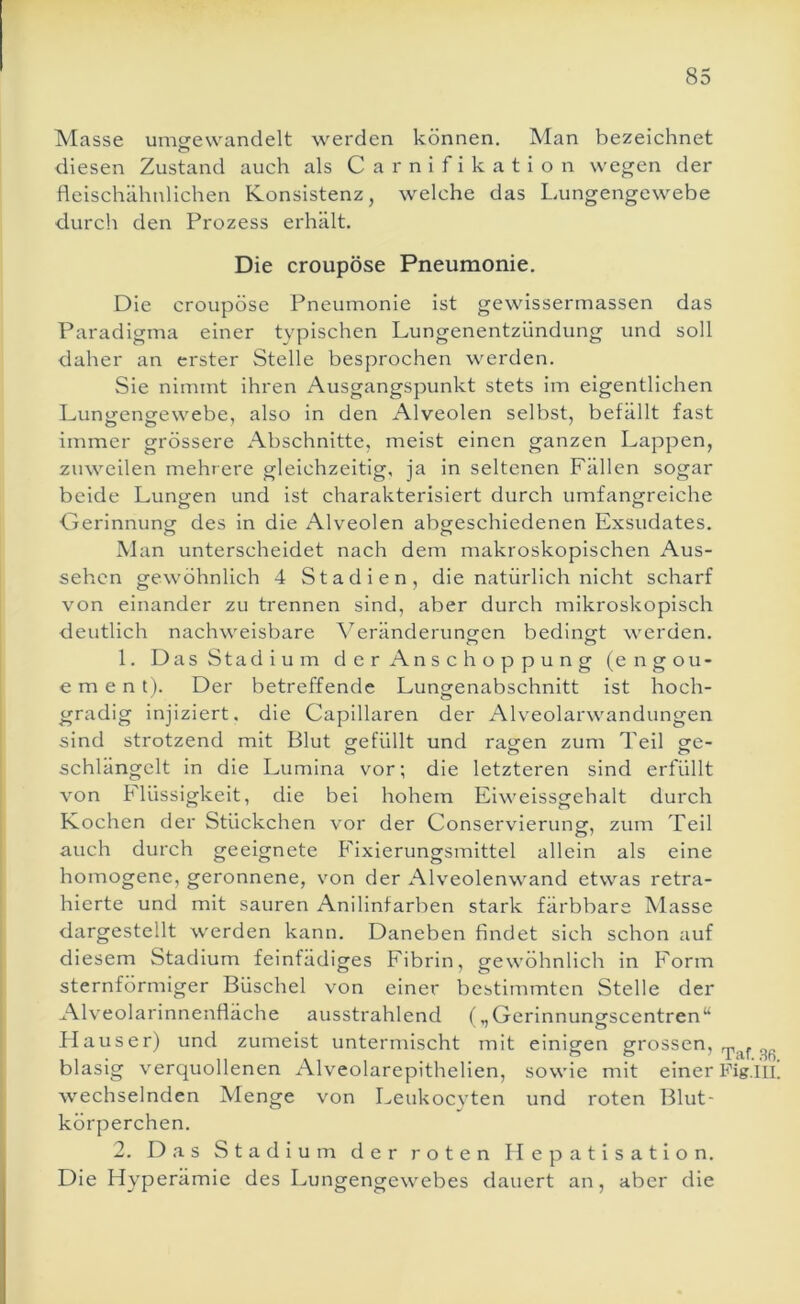 Masse umgrewandelt werden können. Man bezeichnet diesen Zustand auch als C a r n i f i k a t i o n wegen der fleischähnlichen Konsistenz, welche das Lungengewebe durch den Prozess erhält. Die croupöse Pneumonie. Die croupöse Pneumonie ist gewissermassen das Paradigma einer typischen Lungenentzündung und soll daher an erster Stelle besprochen werden. Sie nimmt ihren Ausgangspunkt stets im eigentlichen Lungengewebe, also in den Alveolen selbst, befällt fast immer grössere Abschnitte, meist einen ganzen Lappen, zuweilen mehrere gleichzeitig, ja in seltenen Fällen sogar beide Lungen und ist charakterisiert durch umfangreiche Gerinnung des in die Alveolen abgeschiedenen Exsudates. Man unterscheidet nach dem makroskopischen Aus- sehen gewöhnlich 4 Stadien, die natürlich nicht scharf von einander zu trennen sind, aber durch mikroskopisch deutlich nachweisbare A^eränderungen bedingt werden. 1. Das Stadium der Anschoppung (engou- e m e n t). Der betreffende Lungenabschnitt ist hoch- gradig injiziert, die Capillaren der Alveolarwandungen sind strotzend mit Blut gefüllt und ragen zum Teil ge- schlängelt in die Lumina vor; die letzteren sind erfüllt von Flüssigkeit, die bei hohem Eiweissgehalt durch Kochen der Stückchen vor der Conservierung, zum Teil auch durch geeignete Fixierungsmittel allein als eine homogene, geronnene, von der Alveolenwand etwas retra- hierte und mit sauren Anilinfarben stark färbbare Masse dargestellt werden kann. Daneben findet sich schon auf diesem Stadium feinfädiges Fibrin, gewöhnlich in Form sternförmiger Büschel von einer bestimmten Stelle der Alveolarinnenfläche ausstrahlend (,,Gerinnungscentren“ Hauser) und zumeist untermischt mit einigen grossen, blasig verquollenen Alveolarepithelien, sowie mit einer wechselnden Menge von Leukocyten und roten Blut- körperchen. 2. Das Stadium der roten Hepatisation. Die Hyperämie des Lungengewebes dauert an, aber die Taf. ,S6. Fig.Ill.