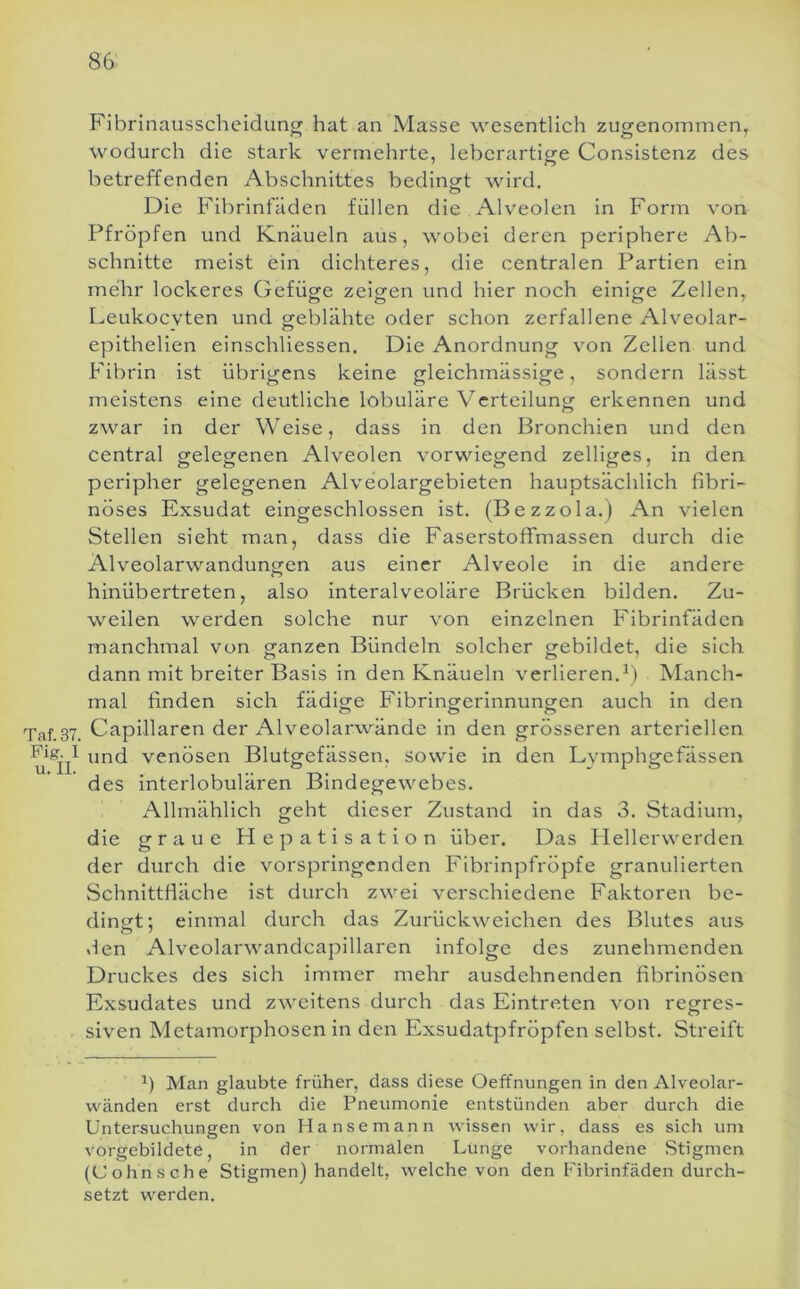 Fibrinausscheidung hat an Masse wesentlich zugenommen^ wodurch die stark vermehrte, leberartige Consistenz des betreffenden Abschnittes bedingt wird. Die Fibrinfäden füllen die . Alveolen in Form von Pfropfen und Knäueln aus, wobei deren periphere Ab- schnitte meist ein dichteres, die centralen Partien ein mehr lockeres (xefüge zeigen und hier noch einige Zellen, Leukocvten und geblähte oder schon zerfallene Alveolar- epithelien einschliessen. Die Anordnung von Zellen und Fibrin ist übrigens keine gleichmässige, sondern lässt meistens eine deutliche lobuläre Verteilung erkennen und zwar in der Weise, dass in den Bronchien und den central gelegenen Alveolen vorwiegend zelliges, in den peripher gelegenen Alveolargebieten hauptsächlich fibri- nöses Exsudat eingeschlossen ist. (Bezzola.) An vielen Stellen sieht man, dass die Faserstoflfmassen durch die Alveolarwandunofcn aus einer Alveole in die andere hinübertreten, also interalveoläre Brücken bilden. Zu- weilen werden solche nur von einzelnen Fibrinfäden manchmal von ganzen Bündeln solcher gebildet, die sich dann mit breiter Basis in den Knäueln verlieren.^) Manch- mal finden sich fädige Fibringerinnungen auch in den Taf.37. Capillaren der Alveolarwände in den grösseren arteriellen und venösen Blutgefässen, sowie in den Lymphgefässen des interlobulären Bindegewebes. Allmählich geht dieser Zustand in das 3. Stadium, die graue Hepatisation über. Das Hellerwerden der durch die vorspringenden Fibrinpfröpfe granulierten Schnittfläche ist durch zwei verschiedene Faktoren be- dingt; einmal durch das Zurückweichen des Blutes aus «len Alveolarwandcapillaren infolge des zunehmenden Druckes des sich immer mehr ausdehnenden fibrinösen Exsudates und zweitens durch das Eintreten von regres- siven Metamorphosen in den Exsudatpfröpfen selbst. Streift Man glaubte früher, dass diese Oeffnungen in den Alveolar- vvänden erst durch die Pneumonie entstünden aber durch die Untersuchungen von Hansemann wissen wir, dass es sich um vorgebildete, in der normalen Lunge vorhandene Stigmen (Cohn sehe Stigmen) handelt, welche von den Fibrinfäden durch- setzt werden.