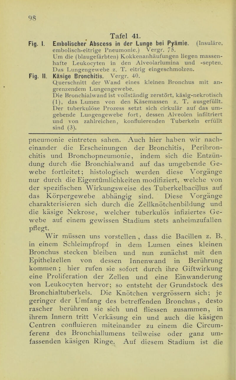 Tafel 41. Embolischer Abscess in der Lunge bei Pyämie. (Insulare, embolisch-eitrige Pneumonie.J Vergr. 75. Um die (blaugefärbten) Kokkenanhäufungen liegen massen- hafte Leukocyten in den Alveolarlumina und -septen. Das Lungengewebe z. T. eitrig eingeschmolzen. Querschnitt der Wand eines kleinen Bronchus mit an- grenzendem Lungengewebe. Die Bronchialwand ist vollständig zerstört, käsig-nekrotisch (1), das Lumen von den Käsemassen z. T. ausgefüllt. Der tuberkulöse Prozess setzt sich cirkulär auf das um- gebende Lungengewebe fort, dessen Alveolen infiltriert und von zahlreichen, konfluierenden Tuberkeln erfüllt sind (3). pneumonie eintreten sahen. Auch hier haben wir nach- einander die Erscheinungen der Bronchitis, Peribron- chitis und Bronchopneumonie, indem sich die Entzün- dung durch die Bronchialwand auf das umgebende Ge- webe fortleitet; histologisch werden diese Vorgänge nur durch die Eigentümlichkeiten modifiziert, welche von der spezifischen Wirkungsweise des Tuberkelbacillus auf das Körpergewebe abhängig sind. Diese \orgänge charakterisieren sich durch die Zellknötchenbildung und die käsige Nekrose, welcher tuberkulös infiziertes Ge- webe auf einem gewissen Stadium stets anheimzufallen pflegt. Wir müssen uns vorstcllen , dass die Bacillen z. B. in einem Schleimpfropf in dem Lumen eines kleinen Bronchus stecken bleiben und nun zunächst mit den Epithelzellen von dessen Innenwand in Berührung kommen ; hier rufen sie sofort durch ihre Giftwirkung eine Proliferation der Zellen und eine Einwanderung von Leukocyten hervor; so entsteht der Grundstock des Bronchialtuberkels. Die Knötchen vergrössern sich; je geringer der Umfang des betreffenden Bronchus , desto rascher berühren sie sich und fliessen zusammen, in ihrem Innern tritt Verkäsung ein und auch die käsigen Centren confluieren miteinander zu einem die Circum- ferenz des Bronchiallumens teilweise oder tranz um- fassenden käsigen Ringe. Auf diesem Stadium ist die Fig. I.