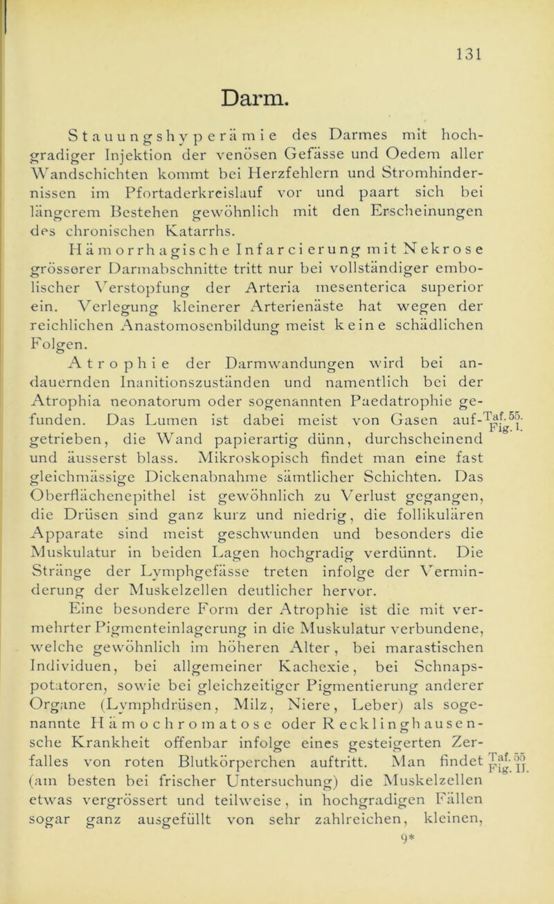 Darm. S t a u u n CT s h y p e r ä m i e des Darmes mit hoch- CTradiger Injektion der venösen Gefässe und Oedem aller Wandschichten kommt bei Herzfehlern und Stromhinder- nissen im Pfortaderkrcislauf vor und paart sich bei längerem llestehen gewöhnlich mit den Erscheinungen des chronischen Katarrhs. Hämorrhagische Infarcierung mit Nekrose grösserer Darmabschnitte tritt nur bei vollständiger embo- lischer \erstopfung der Arteria mesenterica superior ein. Verlegung kleinerer Arterienäste hat wegen der reichlichen AnastomosenbildunCT meist keine schädlichen o Folgen. Atrophie der Darmwandungen wird bei an- dauernden Inanitionszuständen und namentlich bei der Atrophia neonatorum oder sogenannten Paedatrophie ge- funden. Das Lumen ist dabei meist von Gasen auf-^^M']- getrieben, die Wand papierartig dünn, durchscheinend und äusserst blass. Mikroskopisch findet man eine fast gleichmässige Dickenabnahme sämtlicher Schichten. Das Oberflächenepithel ist gewöhnlich zu Wrlust gegangen, die Drüsen sind s:anz kurz und niedrlof, die follikulären Apparate sind meist geschwunden und besonders die Muskulatur in beiden LaCTen hocliCTradicr verdünnt. Die o o o Stränge der Lymphgefässe treten infolge der \ermin- derung der Muskelzellen deutlicher hervor. Eine besondere Form der Atrophie ist die mit ver- mehrter Pigmenteinlagerung in die Muskulatur verbundene, welche gewöhnlich im höheren Alter , bei marastischen Individuen, bei allgemeiner Kachexie, bei Schnaps- potatorcn, sowie bei gleichzeitiger Pigmentierung anderer Organe (Lymphdrüsen, Milz, Niere, Leberj als soge- nannte Hämochromatose oder R eck 1 i n gh au s e n- sche Krankheit offenbar infolge eines gesteigerten Zer- falles von roten Blutkörperchen auftrltt. Man findet ■’l'j (am besten bei frischer Untersuchung) die Muskelzellen etwas vergrössert und teilweise, in hochgradigen Fällen sogar ganz ausgefüllt von sehr zahlreichen, kleinen.