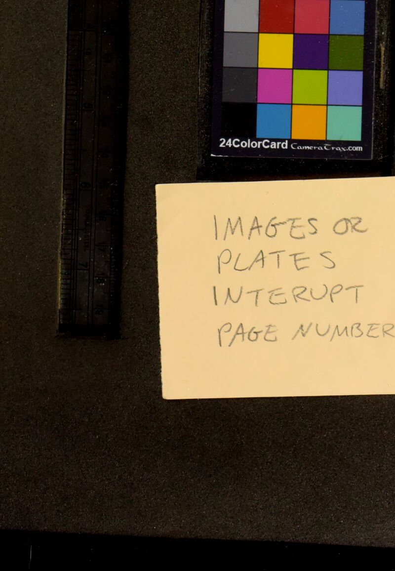 l/vlAö'cS oz. pMT-e s l W T & ffiert //i^/wßEß