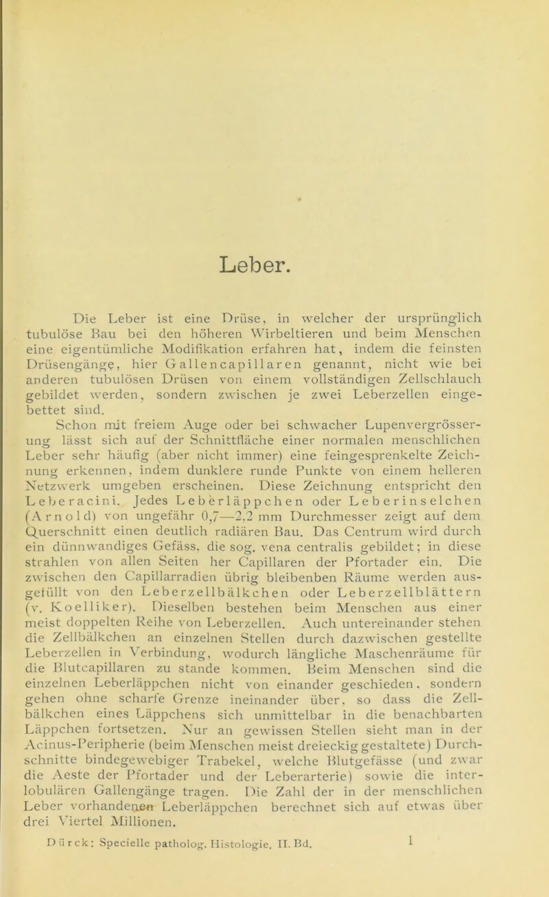 Leber. Die Leber ist eine Drüse, in welcher der ursprünglich tubulöse Hau bei den höheren Wirbeltieren und beim Menschen eine eigentümliche Modifikation erfahren hat, indem die feinsten Drüsengänge, hier Gallencapillaren genannt, nicht wie bei anderen tubulösen Drüsen von einem vollständigen Zellschlauch gebildet werden, sondern zwischen je zwei Leberzellen einge- bettet sind. Schon mit freiem Auge oder bei schwacher Lupenvergrösser- ung lässt sich auf der Schnittfläche einer normalen menschlichen Leber sehr häufig (aber nicht immer) eine feingesprenkelte Zeicli- nung erkennen, indem dunklere runde Punkte von einem helleren Netzwerk umgeben erscheinen. Diese Zeichnung entspricht den Leberacini. Jedes Leberläppchen oder Leberin selchen (Arnold) von ungefähr 0,7—2.2 mm Durchmesser zeigt auf dem Querschnitt einen deutlich radiären Bau. Das Centrum wird durch ein dünnwandiges Gefäss, die sog. vena centralis gebildet; in diese strahlen von allen Seiten her Capillaren der Pfortader ein. Die zwischen den Capillarradien übrig bleibenben Räume werden aus- gefüllt von den Leberzellbälkchen oder Leberzellblättern (v. Koelliker). Dieselben bestehen beim Menschen aus einer meist doppelten Reihe von Leberzellen. Auch untereinander stehen die Zellbälkchen an einzelnen Stellen durch dazwischen gestellte Leberzellen in Verbindung, wodurch längliche Maschenräume für die Blutcapillaren zu stände kommen. Heim Menschen sind die einzelnen Leberläppchen nicht von einander geschieden. sondern gehen ohne scharte Grenze ineinander über, so dass die Zell- bälkchen eines Läppchens sich unmittelbar in die benachbarten Läppchen fortsetzen. Nur an gewissen Stellen sieht man in der Acinus-Peripherie (beim ISIenschen meist dreieckig gestaltete) Durch- schnitte bindegewebiger Trabekel, welche Blutgefässe (und zwar die Aeste der Pfortader und der Leberarterie) sowie die inter- lobulären Gallengänge tragen. Die Zahl der in der menschlichen Leber vorhandeoeti Leberläppchen berechnet sich auf etwas über drei Viertel Millionen. Dürck: Specielle patholog. Histologie. II. Bd.