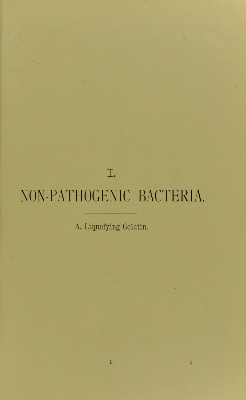 NON-PATHOGENIC BACTERIA. A. Liquefying Gelatin.