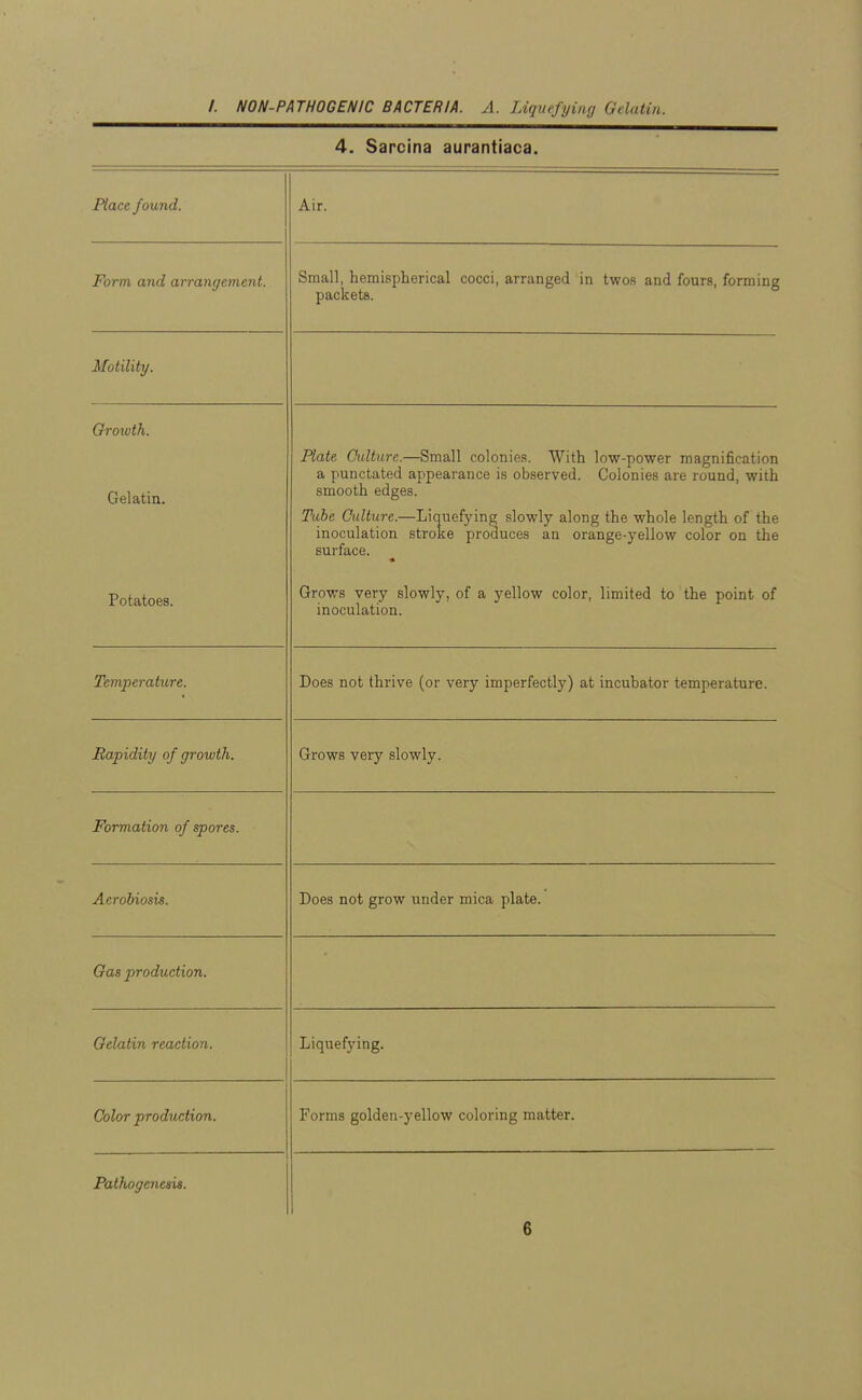 4. Sarcina aurantiaca. Place found. Air. Form and arrangement. bmall, nemispnerical cocci, arranged in twos and fours, forming packets. Motility. Growth. Gelatin. Plate Culture.—Small colonies. With low-power magnification a punctated appearance is observed. Colonies are round, with smooth edges. Tube Culture.—Liquefying slowly along the whole length of the inoculation stroke produces an orange-yellow color on the oil ftn r\ « Potatoes. Grows very slowly, of a yellow color, limited to the point of inoculation. Temperature. Does not thrive (or very imperfectly) at incubator temperature. Rapidity of growth. Grows very slowly. Formation of spores. Aerobiosis. Does not grow under mica plate. Gas production. Gelatin reaction. Liquefying. Color production. Forms golden-yellow coloring matter. Pathogenesis.