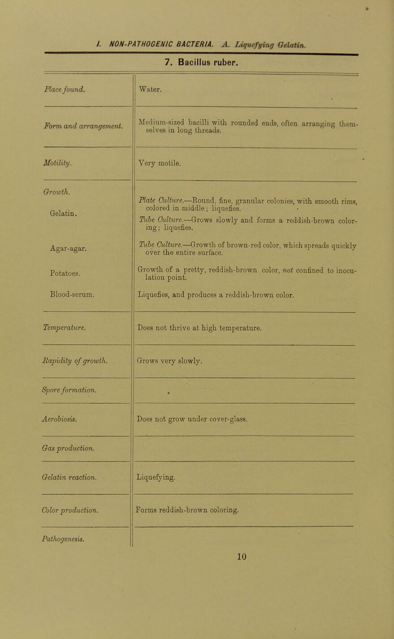 7. Bacillus ruber. Place found. Water. Form and arrangement. Medium-flized bacilli with rounded ends, often arranging them- selves in long threads. Growth. VjreiablD • Plate Culture.—Round, fine, granular colonies, with smooth rims, colored in middle; liquefies. Tube Culture.—Grows slowly and forms a reddish-brown color- ing ; liquefies. Agar-agar. Tube Culture.—Growth of brown-red color, which spreads quickly over the entire surface. Potatoes. Growth of a pretty, reddish-brown color, not confined to inocu- lation point. Blood-serum. Liquefies, and produces a reddish-brown color. Temperature. Does not thrive at high temperature. Rapidity of growth. Grows very slowly. CI r 1 * bpore jormation. « Aerobiosis. Does not erow under cover-class. Gas production. Gelatin reaction. Liquefying. Color production. Forms reddish-brown coloring. Pathogenesis.