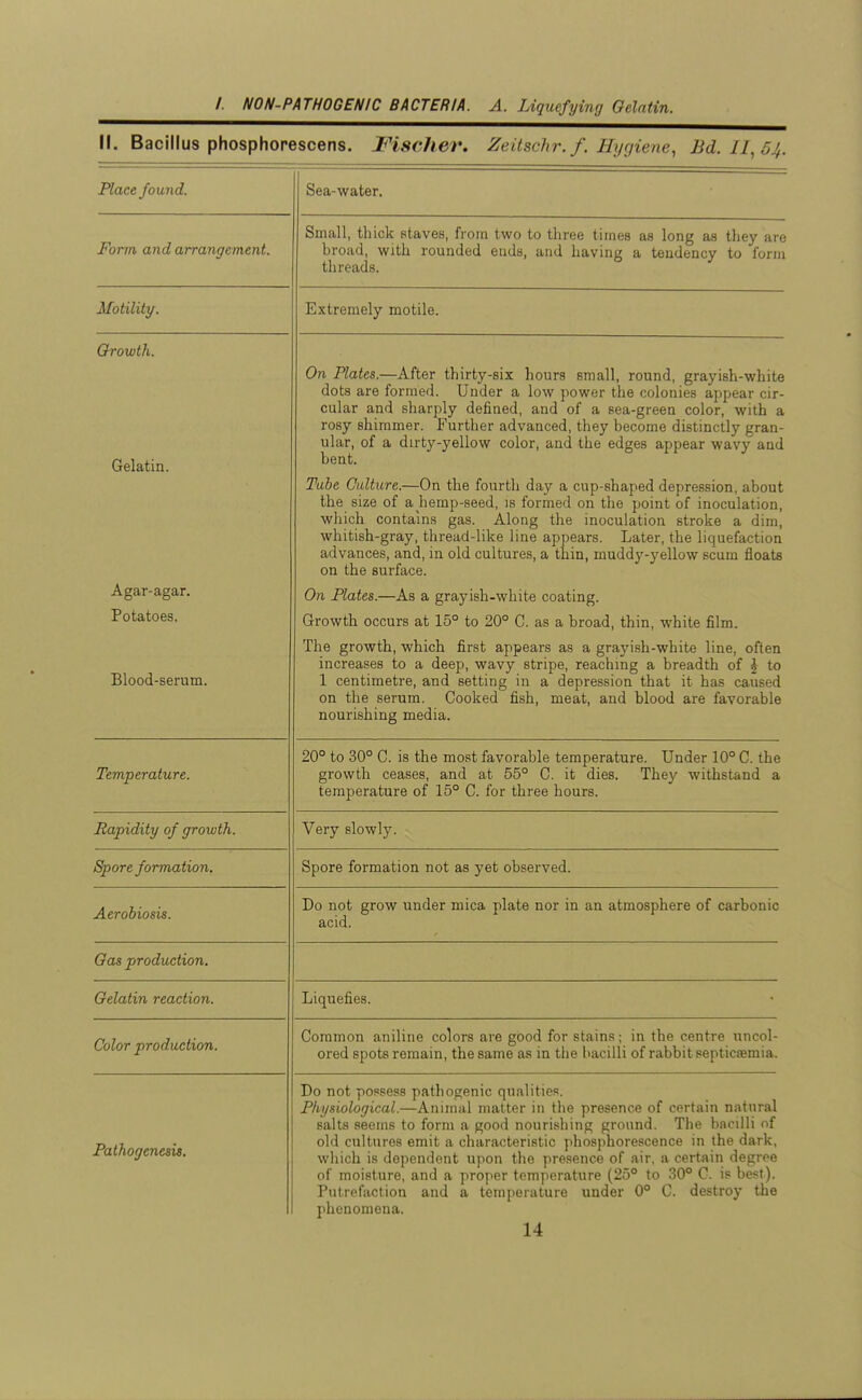 II. Bacillus phosphorescens. Fischer. Zeilsch7\f. Uygiene, Bd. 11^64. Place found. Sea-water. Form and arrangement. Small, thick Btaves, from two to three times as long as they are broad, with rounded ends, and having a tendency to form threads. Motility. Extremely motile. Growth. Gelatin. On Plates.—After thirty-six hours small, round, grayish-white dots are formed. Under a low power the colonies appear cir- cular and sharply defined, and of a sea-green color, with a rosy shimmer. Further advanced, they become distinctl)' gran- ular, of a dirty-yellow color, and the edges appear wavy and bent. Tube Culture.—On the fourth d'xy a cup-shaped depression, about the size of a hemp-seed, is formed on the point of inoculation, which contains gas. Along the inoculation stroke a dim, whitish-gray, thread-like line appears. Later, the liquefaction advances, and, in old cultures, a thin, muddy-yellow scum floats on the surface. Agar-agar. Potatoes. On Plates.—As a grayish-white coating. Growth occurs at 15° to 20° C. as a broad, thin, white film. Blood-serum. The Errowth wbicn fir.st aTToearf^ a*? a. (7ravi«;}i-whif'P linp nfit^n increases to a deep, wavy stripe, reaching a breadth of J to 1 centimetre, and setting in a depression that it has caused on the serum. Cooked fish, meat, and blood are favorable nourishing media. Temperature. 20° to 30° 0. is the most favorable temperature. Under 10° C. the growth ceases, and at 55° C. it dies. They withstand a temperature of 15° C. for three hours. Rapidity of growth. Very slowly. Spore formation. Spore formation not as yet observed. Aerobiosis. Do not erow under mica plate nor in an atmosphere of carbonic acid. Gas production. Gelatin reaction. Liquefies. Color production. Common aniline colors are good for stains; in the centre uncol- ored spots remain, the same as in the bacilli of rabbit septicasmia. Pathogenesis. Do not possess pathogenic qualities. Physiological.—Animal matter in the presence of cprtain natural salts seems to form a good nourishing ground. The bacilli of old cultures emit a characteristic phosphorescence in the dark, which is dependent upon the presence of air, a certain degree of moisture, and a proper temperature (25° to 30° C. is best). Putrefaction and a temperature under 0° C. destroy the phenomena.