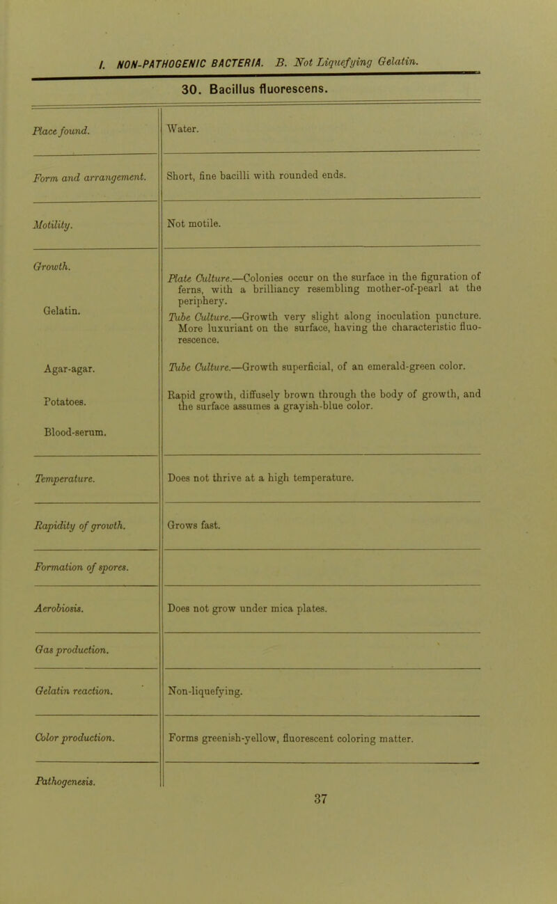 30. Bacillus fluorescens. Hace found. Water. Form and arrangement. Short, fine bacilli with rounded ends. Motility. Not motile. Orowth. Gelatin. Jriatc LiUiiure.—L-oiomes occur on tuts ouiid/cc lu li^uidLiuu ui ferns, with a brilliancy resembling mother-of-pearl at the periphery. Tube Culture.—Growth very slight along inoculation puncture. More luxuriant on the surface, having the characteristic fluo- rescence. Agar-agar. Tube Culture.—Growth superficial, of an emerald-green color. Potatoes. Rapid growth, diffusely brown through the body of growth, and the surface assumes a grayish-blue color. Blood-serum. Temperature. Does not thrive at a high temperature. Rapidity of qrowth. Grows fast. rormatton of spores. Aerobiosis. Does not grow under mica plates. Oas production. Gelatin reaction. Non-liquefying. Color production. Forms greenish-yellow, fluorescent coloring matter. Pathogenesis.