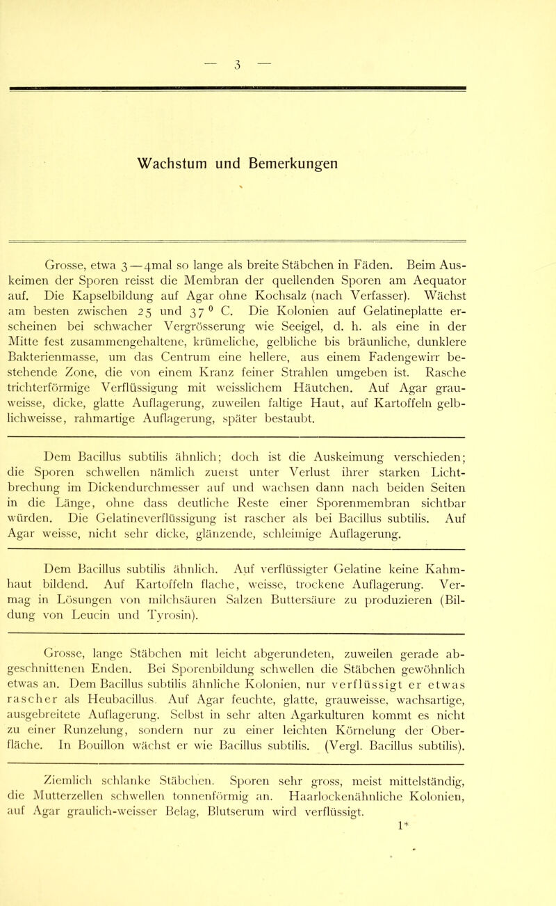 Grosse, etwa 3—4mal so lange als breite Stäbchen in Fäden. Beim Aus- keimen der Sporen reisst die Membran der quellenden Sporen am Aequator auf. Die Kapselbildung auf Agar ohne Kochsalz (nach Verfasser). Wächst am besten zwischen 25 und 37^0. Die Kolonien auf Gelatineplatte er- scheinen bei schwacher Vergrösserung wie Seeigel, d. h. als eine in der Mitte fest zusammengehaltene, krümeliche, gelbliche bis bräunliche, dunklere Bakterienmasse, um das Centrum eine hellere, aus einem Fadengewirr be- stehende Zone, die von einem Kranz feiner Strahlen umgeben ist. Rasche trichterförmige Verflüssigung mit weisslichem Häutchen. Auf Agar grau- weisse, dicke, glatte Auflagerung, zuweilen faltige Haut, auf Kartoffeln gelb- lich weisse, rahmartige Auflagerung, später bestaubt. Dem Bacillus subtilis ähnlich; doch ist die Auskeimung verschieden; die Sporen schwellen nämlich zueist unter Verlust ihrer starken Licht- brechung im Dickendurchmesser auf und wachsen dann nach beiden Seiten in die Länge, ohne dass deutliche Reste einer Sporenmembran sichtbar würden. Die Gelatineverflüssigung ist rascher als bei Bacillus subtilis. Auf Agar weisse, nicht sehr dicke, glänzende, schleimige Auflagerung. Dem Bacillus subtilis ähnlich. Auf verflü.ssigter Gelatine keine Kahm- haut bildend. Auf Kartoffeln flache, weisse, trockene Auflagerung. Ver- mag in Lösungen von milchsäuren Salzen Buttersäure zu produzieren (Bil- dung von Leucin und Tyrosin). Grosse, lange Stäbchen mit leicht abgerundeten, zuweilen gerade ab- geschnittenen Enden. Bei Sporenbildung schwellen die Stäbchen gewöhnlich etwas an. Dem Bacillus subtilis ähnliche Kolonien, nur verflüssigt er etwas rascher als Heubacillus, Auf Agar feuchte, glatte, grauweisse, wachsartige, ausgebreitete Auflagerung. Selbst in sehr alten Agarkulturen kommt es nicht zu einer Runzelung, sondern nur zu einer leichten Körnelung der Ober- fläche. ln Bouillon wächst er wie Bacillus subtilis. (Vergl. Bacillus subtilis). Ziemlich schlanke Stäl)chen. Sporen sehr gross, meist mittelständig, die Mutterzellen schwellen tonnenförmig an. Haarlockenähnliche Kolonien, auf Agar graulich-weisser Belag, Blutserum wird verflüssigt. 1*