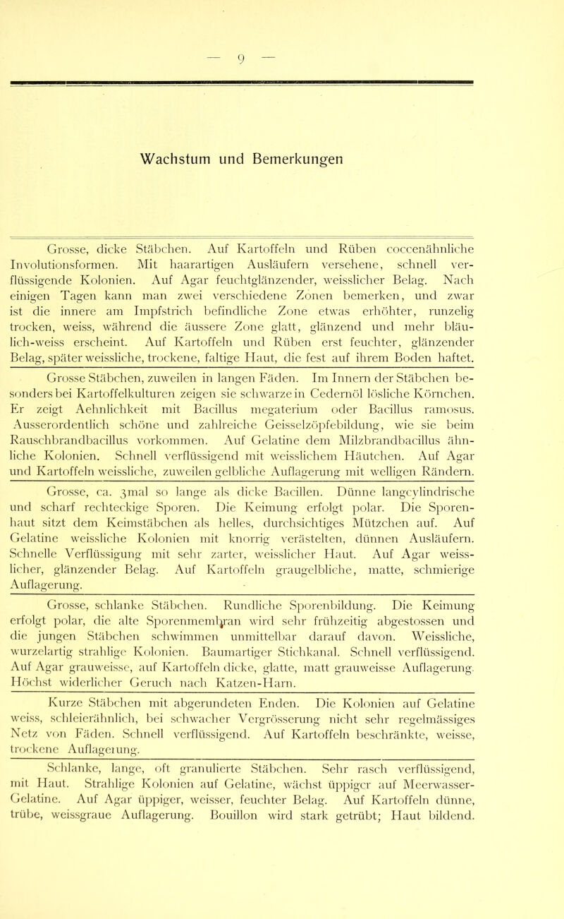 Grosse, dicke Stäbchen. Auf Kartoffeln und Rüben coccenähnliche Involutionsformen. Mit haarartigen Ausläufern versehene, schnell ver- flüssigende Kolonien. Auf Agar feuchtglänzender, weisslicher Belag. Nach einigen Tagen kann man zwei verschiedene Zonen bemerken, und zwar ist die innere am Impfstrich befindliche Zone etwas erhöhter, runzelig trocken, weiss, während die äussere Zone glatt, glänzend und mehr bläu- lich-weiss erscheint. Auf Kartoffeln und Rüben erst feuchter, glänzender Belag, später weissliche, trockene, faltige Haut, die fest auf ihrem Boden haftet. Grosse Stäbchen, zuweilen in langen Fäden. Im Innern der Stäbchen be- sonders bei Kartoffelkulturen zeigen sie schwarzein Cedernöl lösliche Körnchen. Er zeigt Aehnlichkeit mit Bacillus megaterium oder Bacillus ramosus. Ausserordentlich schöne und zalilreiche Geisselzöpfebildung, wie sie beim Rauschbrandbacillus Vorkommen. Auf Gelatine dem Milzbrandbacillus ähn- liche Kolonien. Schnell verflüssigend mit weisslichem Häutchen. Auf Agar und Kartoffeln weissliche, zuweilen gelbliche Auflagerung mit welligen Rändern. Grosse, ca. 3mal so lange als dicke Bacillen. Dünne langcylindrische und scharf rechteckige Sporen. Die Keimung erfolgt polar. Die Sporen- haut sitzt dem Keimstäbchen als helles, durchsichtiges Mützchen auf. Auf Gelatine weissliche Kolonien mit knorrig verästelten, dünnen Ausläufern. Schnelle Verflüssigung mit sehr zarter, weisslicher Haut. Auf Agar weiss- licher, glänzender Belag. Auf Kartoffeln graugelbliehe, matte, schmierige Auflagerung. Grosse, schlanke Stäbchen. Rundliche Sporenbildung. Die Keimung erfolgt polar, die alte Sporenmeml^'an wird sehr frühzeitig abgestossen und die jungen Stäbchen schwimmen unmittelbar darauf davon. Weissliche, wurzelartig strahlige Kolonien. Baumartiger Stichkanal. Schnell verflüssigend. Auf Agar grauweisse, auf Kartoffeln dicke, glatte, matt grauweisse Auflagerung. Höchst widerlicher Geruch nach Katzen-Harn. Kurze Stäbchen mit abgerundeten Enden. Die Kolonien auf Gelatine weiss, schleierähnlich, bei schwacher Vergrösserung nicht sehr regelmässiges Netz von Fäden. Schnell verflüssigend. Auf Kartoffeln beschränkte, weisse, trockene Auflageiung. Schlanke, lange, oft granulierte Stäbchen. Sehr rasch verflüssigend, mit Haut. Strahlige Kolonien auf Gelatine, wächst üppiger auf Meerwasser- Gelatine. Auf Agar üjDpiger, weisser, feuchter Belag. Auf Kartoffeln dünne, trübe, weis.sgraue Auflagerung. Bouillon wird stark getrübt; Haut bildend.