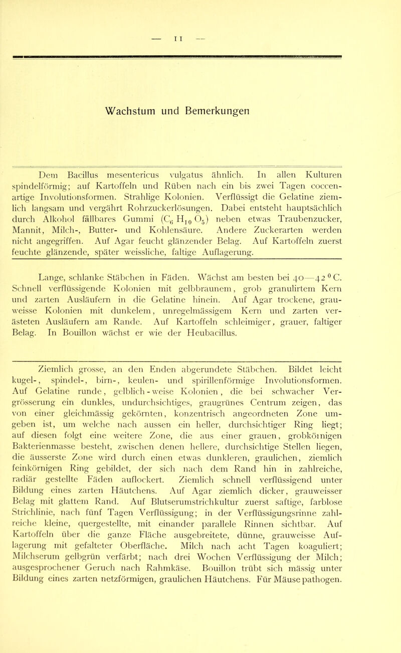 Dem Bacillus mesentericus ^allgatlls ähnlich. In allen Kulturen spindelförmig; auf Kartoffeln und Rüben nacli ein bis zwei Tagen coccen- artige Involutionsformen. Strahlige Kolonien. Verflüssigt die Gelatine ziem- lich langsam und vergährt Rohrzuckerlösungen. Dabei entsteht hauptsächlich durch Alkohol fällbares Gummi (QjHjqOj) neben etwas Traubenzucker, Mannit, Milch-, Butter- und Kohlensäure. Andere Zuckerarten werden nicht angegriffen. Auf Agar feucht glänzender Belag. Auf Kartoffeln zuerst feuchte glänzende, später weissliche, faltige Auflagerung. Lange, schlanke Stäbchen in Fäden. Wächst am besten bei 40—42 ^C. Schnell verflüssigende Kolonien mit gelbbraunem, grob granulirtem Kern und zarten Ausläufern in die Gelatine hinein. Auf Agar trockene, grau- weisse Kolonien mit dunkelem, unreo'elmässifrem Kern und zarten ver- ästeten Ausläufern am Rande. Auf Kartoffeln schleimiger, grauer, faltiger Belag. In Bouillon wächst er wie der Heubacillus. Ziemlich grosse, an den Enden abgerundete Stäbchen. Bildet leicht kugel-, Spindel-, birn-, keulen- und spirillenförmige Involutionsformen. Auf Gelatine runde, gelblich - weise Kolonien, die bei schwacher Ver- grö)sserung ein dunkles, undurchsichtiges, graugrünes Centrum zeigen, das von einer gleichmässig gekörnten, konzentrisch angeordneten Zone um- geben ist, um welche nach aussen ein heller, durchsichtiger Ring liegt; auf diesen folgt eine weitere Zone, die aus einer grauen, grobkörnigen Bakterienmasse besteht, zwischen denen hellere, durchsichtige Stellen liegen, die äusserste Zone wird durch einen etwas dunkleren, graulichen, ziemlich feinkörnigen Ring gebildet, der sich nach dem Rand hin in zahlreiche, radiär gestellte Fäden auflockert. Ziemlich schnell verflüssigend unter Bildung eines zarten Häutchens. Auf Agar ziemlich dicker, grauweisser Belag mit glattem Rand. Auf Blutserumstrichkultur zuerst saftige, farblose Strichlinie, nach fünf Tagen Verflüssigung; in der Verflüssigungsrinne zahl- reiche kleine, quergestellte, mit einander parallele Rinnen sichtbar. Auf Kartoffeln über die ganze Fläche ausgebreitete, dünne, grauweisse Auf- lagerung mit gefalteter Oberfläche. Milch nach acht Tagen koaguliert; Milchserum gelbgrün verfärbt; nach drei Wochen Verflüssigung der Milch; ausgesprochener Geruch nach Rahmkäse. Bouillon trübt sich mässig unter Bildung eines zarten netzförmigen, graulichen Häutchens. Für Mäuse pathogen.