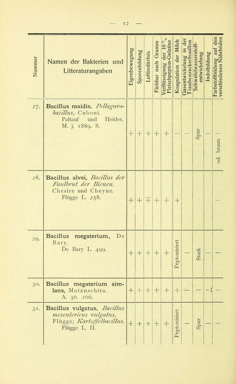 Nummer Namen der Bakterien und Litteraturangaben Eigenbewegung | Sporenbildung 1 Luftbedürfnis 1 Färbbar nach Gramm I Verflüssigung der 10 % Fleischpepton-Gelatine Koagulation der Milch I Gasentwickelung in der 1 Traubenzuckerbouillon | Schwefelwasserstoff- entwickelung Indolbildung 1 Farbstoffbildung auf den I verschiedenen Nährböden | 27. Bacillus maidis, Pellagam- hacülus, Cuboni. Paltauf und Heid er, M. j. 1889. 8. + + + + 1 — Spur — od. braun 28. Bacillus alvei, Bacillus der Faulhrut der Bienen. Chesire und Cheyne. Flügge L. 258. + + + + + + — 29. Bacillus megaterium, De B ary. De Bary L. 499. + + + + + Peptonisiert — Stark — — 30- Bacillus megaterium sim- lans, Matzuschita. A. 36. 266. + + + — — r — 31. Bacillus vulgatus, Bacillus niesenlerictis milgatus, Flügge; Kartoffelbacillus. + Peptonisiert — Spur — —