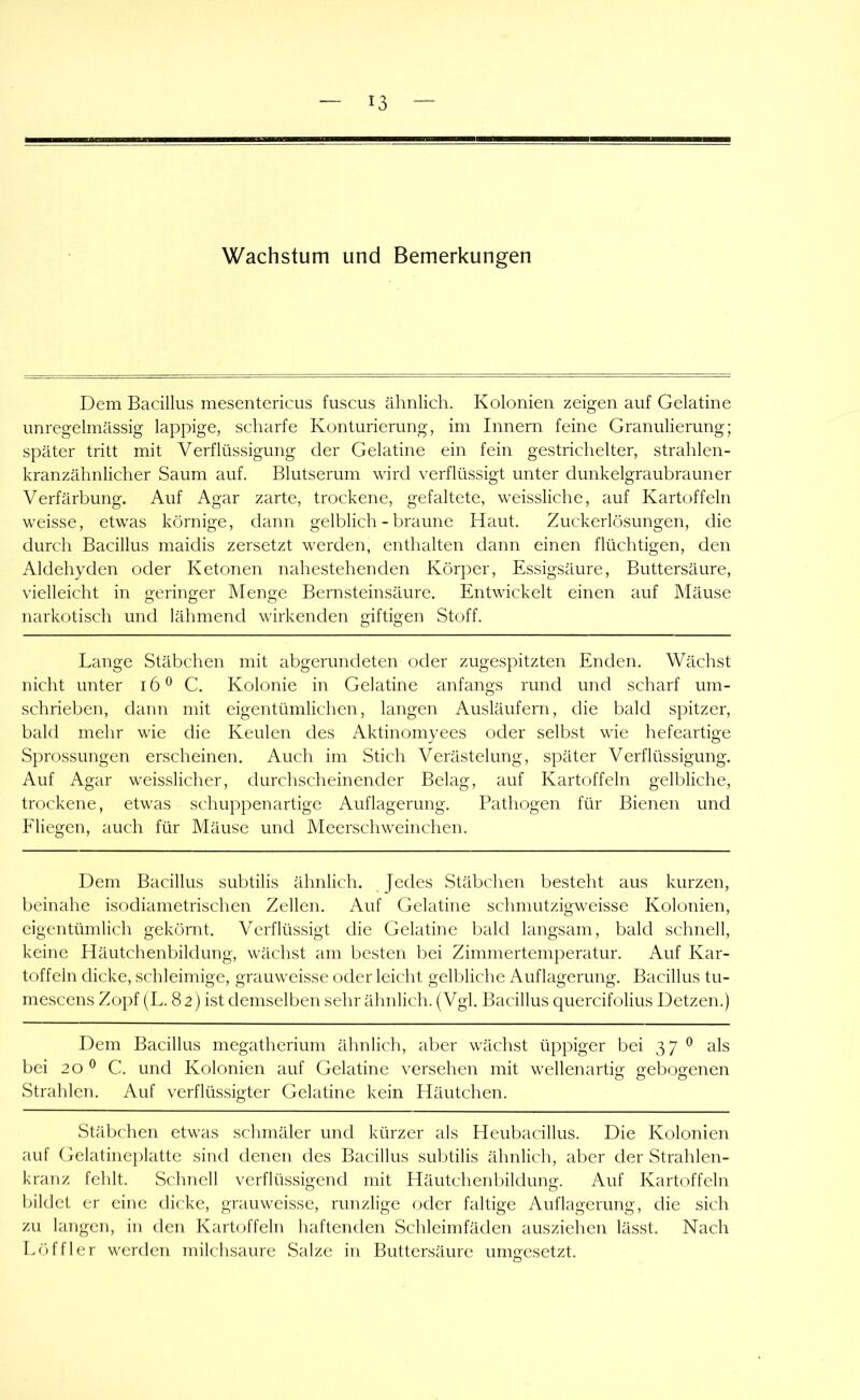 Wachstum und Bemerkungen Dem Bacillus mesentericiis fuscus ähnlich. Kolonien zeigen auf Gelatine unregelmässig lappige, scharfe Konturierung, im Innern feine Granulierung; später tritt mit Verflüssigung der Gelatine ein fein gestrichelter, strahlen- kranzähnlicher Saum auf. Blutserum wird verflüssigt unter dunkelgraubrauner Verfärbung. Auf Agar zarte, trockene, gefaltete, weissliche, auf Kartoffeln weisse, etwas körnige, dann gelblich - braune Haut. Zuckerlösungen, die durch Bacillus maidis zersetzt werden, enthalten dann einen flüchtigen, den Aldehyden oder Ketonen nahestehenden Körper, Essigsäure, Buttersäure, vielleicht in geringer Menge Bernsteinsäure. Entwickelt einen auf Mäuse narkotisch und lähmend wirkenden giftigen Stoff. Lange Stäbchen mit abgerundeten oder zugespitzten Enden. Wächst nicht unter i6^ C. Kolonie in Gelatine anfangs rund und scharf um- schrieben, dann mit eigentümlichen, langen Ausläufern, die bald spitzer, bald mehr wie die Keulen des Aktinomyees oder selbst wie hefeartige Sprossungen erscheinen. Auch im Stich Verästelung, später Verflüssigung. Auf Agar weisslicher, durchscheinender Belag, auf Kartoffeln gelbliche, trockene, etwas schuppen artige Auflagerung. Pathogen für Bienen und Fliegen, auch für Mäuse und Meerschweinchen. Dem Bacillus subtilis ähnlich. Jedes Stäbchen besteht aus kurzen, beinahe isodiametrischen Zellen. Auf Gelatine schmutzigweisse Kolonien, eigentümlich gekörnt. Verflüssigt die Gelatine bald langsam, bald schnell, keine Häutchenbildung, wächst am besten bei Zimmertemperatur. Auf Kar- toffeln dicke, schleimige, grauweisse oder leicht gelbliche Auflagerung. Bacillus tu- mescens Zopf (L. 82) ist demselben sehr ähnlich. (Vgl. Bacillus quercifolius Hetzen.) Dem Bacillus megatherium ähnlich, aber wächst üppiger bei 37 ^ als bei 20 ^ C. und Kolonien auf Gelatine versehen mit wellenartig gebogenen Strahlen. Auf verflüssigter Gelatine kein Häutchen. Stäbchen etwas schmäler und kürzer als Heubacillus. Die Kolonien auf Gelatineplatte sind denen des Bacillus subtilis ähnlich, aber der Strahlen- kranz fehlt. Schnell verflüssigend mit Häutchenbildung. Auf Kartoffeln bildet er eine dicke, grauweisse, runzlige oder faltige Auflagerung, die sich zu langen, in den Kartoffeln haftenden Schleimfäden ausziehen lässt. Nach r.öffler werden milchsaure Salze in Buttersäure umgesetzt.