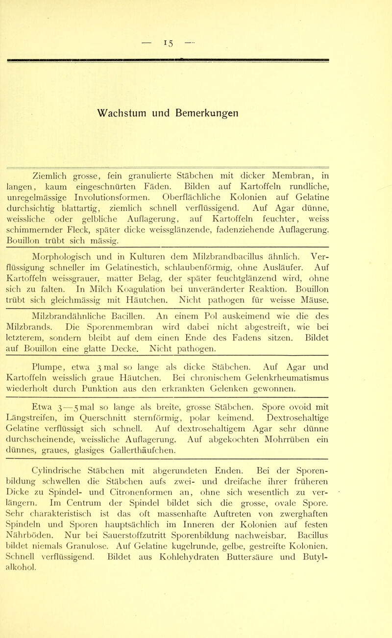 Wachstum und Bemerkungen Ziemlich grosse, fein granulierte Stäbchen mit dicker Membran, in langen, kaum eingeschnürten Fäden. Bilden auf Kartoffeln rundliche, unregelmässige Involutionsformen. Oberflächliche Kolonien auf Gelatine durchsichtig blattartig, ziemlich schnell verflüssigend. Auf Agar dünne, weissliche oder gelbliche Auflagerung, auf Kartoffeln feuchter, weiss schimmernder Fleck, später dicke weissglänzende, fadenziehende Auflagerung. Bouillon trübt sich mässig. Morphologisch und in Kulturen dem Milzbrandbacillus ähnlich. Ver- flüssigung schneller im Gelatinestich, schlaubenförmig, ohne Ausläufer. Auf Kartoffeln weissgrauer, matter Belag, der später feuchtglänzend wird, ohne sich zu falten. In Milch Koagulation bei un\’eränderter Reaktion. Bouillon trübt sich gleichmässig mit Häutchen. Nicht pathogen für weisse Mäuse. Milzbrandähnliche Bacillen. An einem Pol auskeimend wie die des Milzbrands. Die Sporenmembran wird dabei nicht abgestreift, wie bei letzterem, sondern bleibt auf dem einen Ende des Fadens sitzen. Bildet auf Bouillon eine glatte Decke. Nicht pathogen. Plumpe, etwa 3 mal so lange als dicke Stäbchen. Auf Agar und Kartoffeln weisslich graue Häutchen. Bei chronischem Gelenkrheumatismus wiederholt durch Punktion aus den erkrankten Gelenken gewonnen. Etwa 3 — 5 mal so lange als breite, grosse Stäbchen. Spore ovoid mit Längstreifen, im Querschnitt sternförmig, polar keimend. Dextrosehaltige Gelatine verflüssigt sich schnell. Auf dextrosehaltigem Agar sehr dünne durchscheinende, weissliche Auflagerung. Auf abgekochten Mohrrüben ein dünnes, graues, glasiges Gallerthäufchen. Cylindrische Stäbchen mit abgerundeten Enden. Bei der Sporen- bildung schwellen die Stäbchen aufs zwei- und dreifache ihrer früheren Dicke zu Spindel- und Citronenformen an, ohne sich wesentlich zu ver- längern. Im Centrum der Spindel bildet sich die grosse, ovale Spore. Sehr charakteristisch ist das oft massenhafte Auftreten von zwerghaften Spindeln und Sporen hauptsächlich im Inneren der Kolonien auf festen Nährböden. Nur bei Sauerstoffzutritt Sporenbildung nachweisbar. Bacillus bildet niemals Granulöse. Auf Gelatine kugelrunde, gelbe, gestreifte Kolonien. Schnell verflüssigend. Bildet aus Kohlehydraten Buttersäure und Butyl- alkohol.