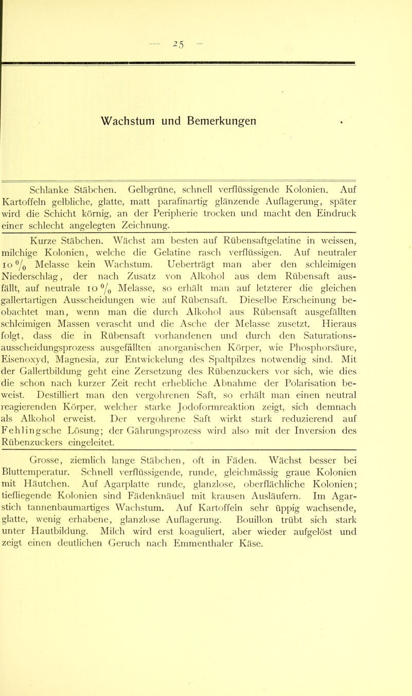 Schlanke Stäbchen. Gelbgrüne, schnell verflüssigende Kolonien. Auf Kartoffeln gelbliche, glatte, matt parafinartig glänzende Auflagerung, später wird die Schicht körnig, an der Peripherie trocken und macht den Eindruck einer schlecht angelegten Zeichnung. Kurze Stäbchen. Wächst am besten auf Rübensaftgelatine in weissen, milchige Kolonien, welche die Gelatine rasch verflüssigen. Auf neutraler 10^0 Melasse kein Wachstum. Ueberträgt man aber den schleimigen Niederschlag, der nach Zusatz von Alkohol aus dem Rübensaft aus- fällt, auf neutrale lo^o Melasse, so erhält man auf letzterer die gleichen gallertartigen Ausscheidungen wie auf Rübensaft. Dieselbe Erscheinung be- obachtet man, wenn man die durch Alkohol aus Rübensaft ausgefällten schleimigen Massen verascht und die Asche der Melasse zusetzt. Hieraus folgt, dass die in Rübensaft vorhandenen und durch den Saturations- ausscheidungsprozess ausgefällten anorganischen Körper, wie Phosphorsäure, Eisenoxyd, Magnesia, zur Entwickelung des Spaltpilzes notwendig sind. Mit der Gallertbildung geht eine Zersetzung des Rübenzuckers vor sich, wie dies die schon nach kurzer Zeit recht erhebliche Abnahme der Polarisation be- weist. Destilliert man den vergohrenen Saft, so erhält man einen neutral reagierenden Körper, welcher starke Jodoformreaktion zeigt, sich demnach als Alkcjliol erweist. Der vergohrene Saft wirkt stark reduzierend auf Eehlingsche Lösung; der Gährungsprozess wird also mit der Inversion des Rübenzuckers eingeleitet. Grosse, ziemlich lange Stäbchen, oft in Eäden. Wächst besser bei Bluttemperatur. Schnell verflüssigende, runde, gleichmässig graue Kolonien mit Häutchen. Auf Agarplatte runde, glanzlose, oberflächliche Kolonien; tiefliegende Kolonien sind Fädenknäuel mit krausen Ausläufern. Im Agar- stich tannenbaumartiges Wachstum. Auf Kartoffeln sehr üppig wachsende, glatte, wenig erhabene, glanzlose Auflagerung. Bouillon trübt sich stark unter Hautbildung. Milch wird erst koaguliert, aber wieder aufgelöst und zeigt einen deutlichen Geruch nach Emmenthaler Käse.