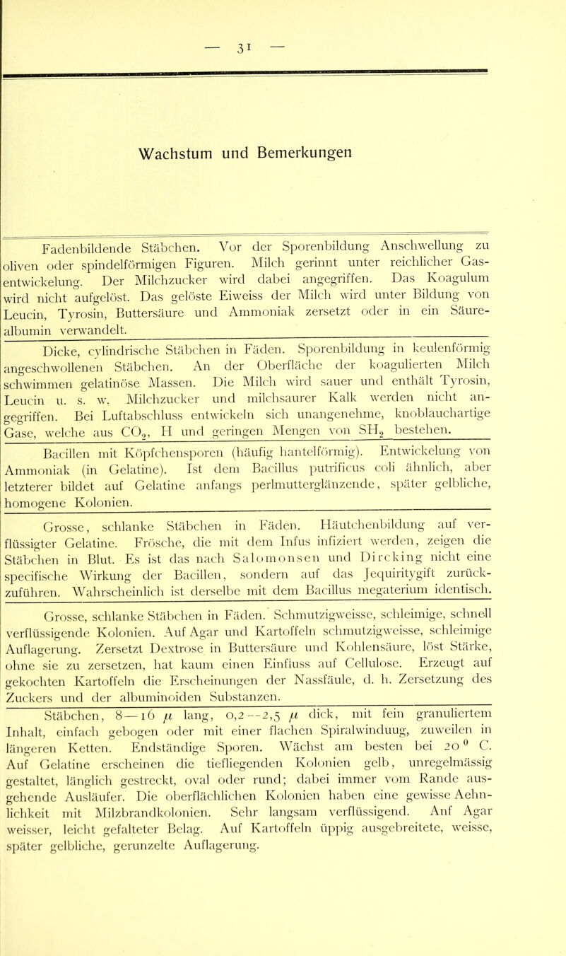 Fadenbildende Stäbchen. Vor der Sporenbildung Anschwellung zu Oliven oder spindelförmigen Figuren. Milch gerinnt unter reichlicher Gas- entwickelung. Der Milchzucker wird dabei angegriffen. Das Koagulum wird nicht aufgelöst. Das gelöste Eiweiss der Milch wird unter Bildung von Leucin, Tyrosin, Buttersäure und Ammoniak zersetzt oder in ein Säure- albumin verw'andelt. Dicke, cylindrische Stäbchen in Fäden. Sporenbildung in keulenförmig angeschwollenen Stäbchen. An der Oberfläche der koagulierten Milch schwimmen gelatinöse Massen. Die Milch wird sauer und enthalt Tyiosin, Leucin u. s. w. Milchzucker und milchsaurer Kalk werden nicht an- gegriffen. Bei Luftabschluss entwickeln sich unangenehme, knoblauchartige Gase, welche aus CO2, H und geringen Mengen von SFL> bestehen. Bacillen mit Köpfchensporen (häufig hantelförmig). Entwickelung von Ammoniak (in Gelatine). Ist dem Bacillus putrificus coli ähnlich, aber letzterer bildet auf Gelatine anfangs perlmutterglänzende, später gelbliche, j homogene Kolonien. ! Grosse, schlanke Stäbchen in Fäden. Häutchenbildung auf ver- i flüssigter Gelatine. Frösche, die mit dem Infus infiziert werden, zeigen die Stäbchen in Blut. Es ist das nach Salornonsen und Dircking nicht eine specifische Wirkung der Bacillen, sondern auf das Jequiritygift zurück- zuführen. Wahrscheinlich ist derselbe mit dem Bacillus megaterium identisch. I Grosse, schlanke Stäbchen in Fäden. Schmutzigweisse, schleimige, schnell I verflüssigende Kolonien. Auf Agar und Kartoffeln schmutzigweisse, schleimige ! Auflagerung. Zersetzt Dextrose in Buttersäure und Kohlensäure, löst Stärke, ohne sie zu zersetzen, hat kaum einen Einfluss auf Cellulose. Erzeugt auf gekochten Kartoffeln die Erscheinungen der Nassfäule, d. h. Zersetzung des Zuckers und der albuminoiden Substanzen. Stäbchen, 8—16 ^ lang, 0,2—2,5 dick, mit fein granuliertem Inhalt, einfach gebogen oder mit einer flachen Spiralwinduug, zuweilen in längeren Ketten. Endständige Sporen. Wächst am besten bei 20^ C. Auf Gelatine erscheinen die tiefliegenden Kolonien gelb, unregelmässig gestaltet, länglich gestreckt, oval oder rund; dabei immer vom Rande aus- gehende Ausläufer. Die oberflächlichen Kolonien haben eine gewisse Aehn- lichkeit mit Milzbrandkolonien. Sehr langsam verflüssigend. Anf Agar weisser, leicht gefalteter Belag. Auf Kartoffeln üppig ausgebreitete, weisse, später gelbliche, gerunzelte Auflagerung.