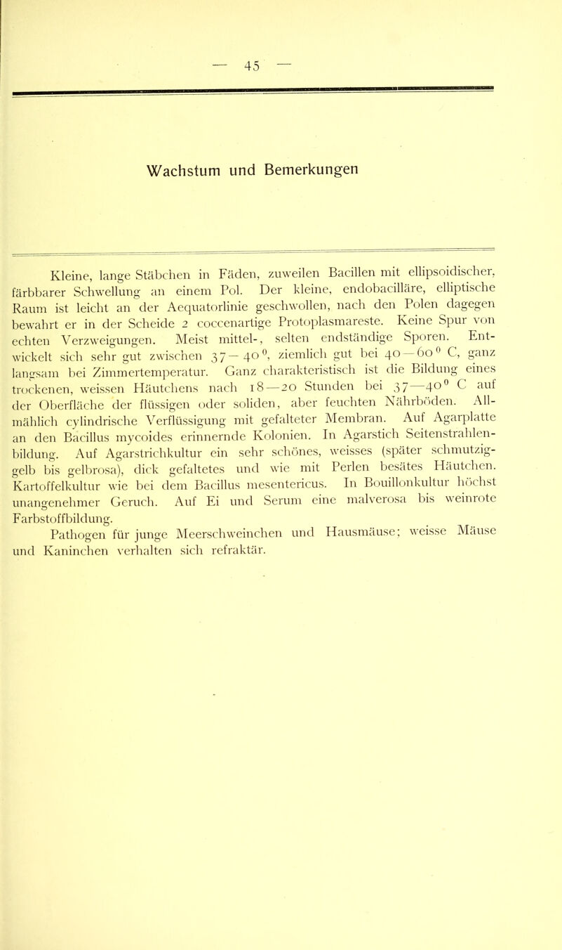 Wachstum und Bemerkungen Kleine, lange Stäbchen in Fäden, zuweilen Bacillen mit ellipsoidischer, färbbarer Schwellung an einem Pol. Der kleine, endobacilläre, elliptische Raum ist leicht an der Aequatorlinie geschwollen, nach den Polen dagegen bewahrt er in der Scheide 2 coccenartige Protoplasmareste. Keine Spur von echten Verzweigungen. Meist mittel-, selten endständige Sporen.^ Ent- wickelt sich sehr gut zwischen 37—40^\ ziemlich gut bei 40 — 60*^ C, ganz lan2'sam bei Zimmertemperatur. Ganz charakteristisch ist die Bildung eines trockenen, weissen Häutchens nach 18 — 20 Stunden bei 37 4®^ C auf der Oberfläche der flüssigen oder soliden, aber feuchten Nährböden, x^ll- mählich cylindrische Verflüssigung mit gefalteter Membran. Auf Agarplatte an den Bacillus mycoides erinnernde Kolonien. In Agarstich Seitenstrahlen- bildung. Auf Agarstrichkultur ein sehr schönes, weisses (später schmutzig- gelb bis gelbrosa), dick gefaltetes und wie mit Perlen besätes Häutchen. Kartoffelkultur wie bei dem Bacillus mesentericus. In Bouillonkultur höchst unangenehmer Geruch. Auf Ei und Serum eine malverosa bis weinrote Farbstoffbildung. Pathogen für junge Meerschweinchen und Hausmäuse; weisse Mäuse und Kaninchen verhalten sich refraktär.
