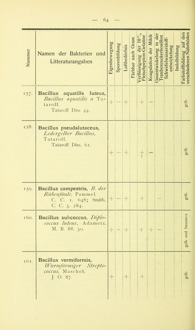 Nummer Namen der Bakterien und Litteraturangaben Eigenbewegung | Sporenbildung | Luftbedürfnis | Färbbar nach Gram | Verflüssigung der 10 7o 1 Fleischpepton-Gelatine 1 Koagulation der Milch j Gasentwickelung in der B Traubenzuckerb^ouillon | Schwefelwasserstoff- entwickelung Indolbildung | Farbstoffbildung auf den I verschiedenen Nährböden | 157- Bacillus aquatilis luteus, Bacillus aquatilis a Ta- taroff. Tataroff Diss 44. + — 1 + + - 'Ö3 bjO 158. Bacillus pseudalutaceus, Ledergelber Bacillus, Tataroff. Tataroff Diss. 61. + — + + - ? — 1 £ 'S DJO 159- Bacillus campestris, B. der Rü benfmde, P a m m e 1. C. C. I. 648; Smith, C. C. 3- 284. + — -f 1 — <L> bx 160. Bacillus subcoccus, Diplo- cocctts luteus, Adametz. M. B. 88. 39. + - i + + — gelb und braunrot 161. Bacillus vermiformis, W^irmförmiger Strepto- coccus, Maschek. j. 0.87. + + ; 1' II j 1 gelb